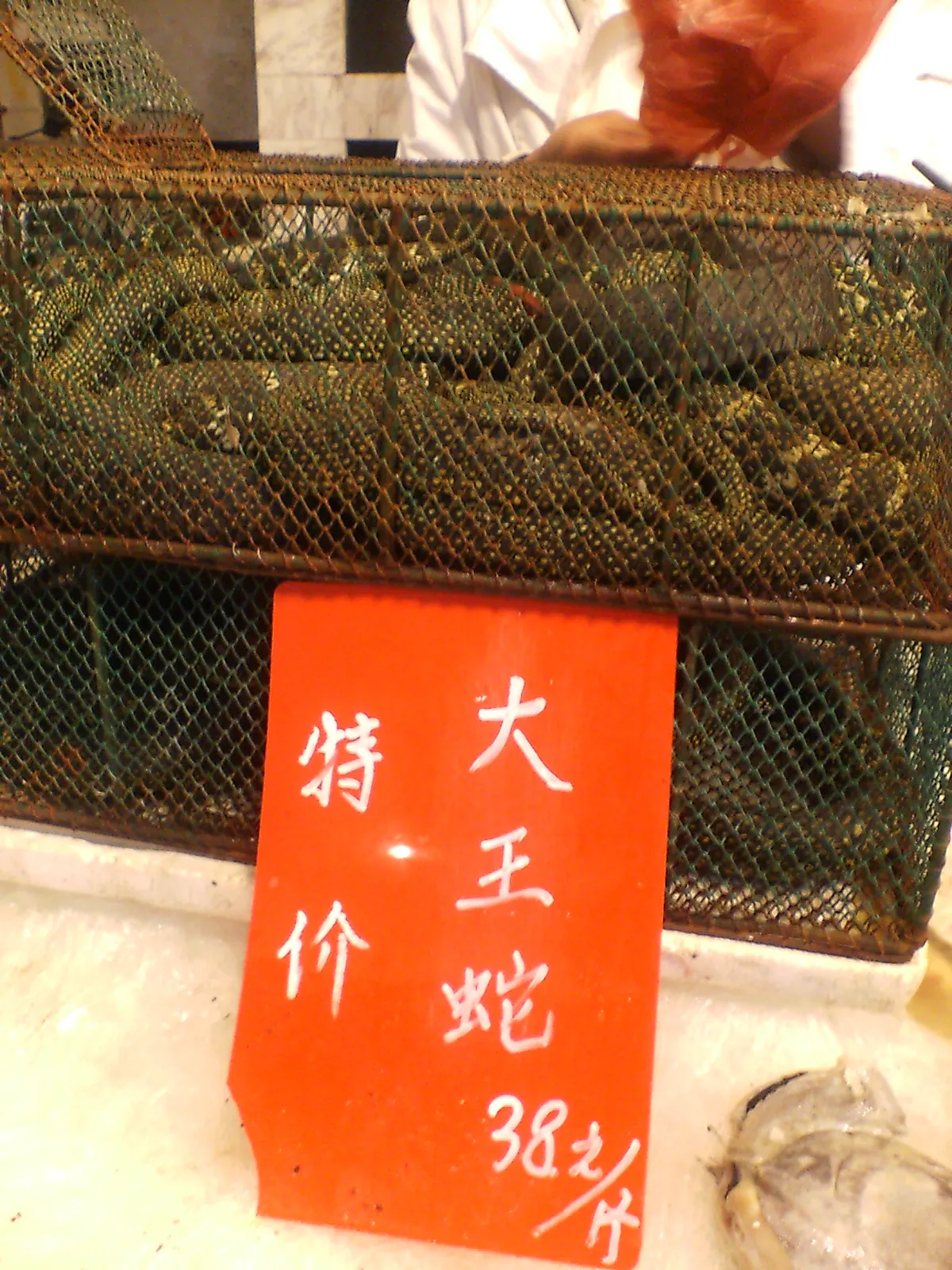 とまとじゅーす的中国旅行記 上海の浦東新区上南路と周家渡付近 蛇です。500gで38元。健康食材らしいですよ