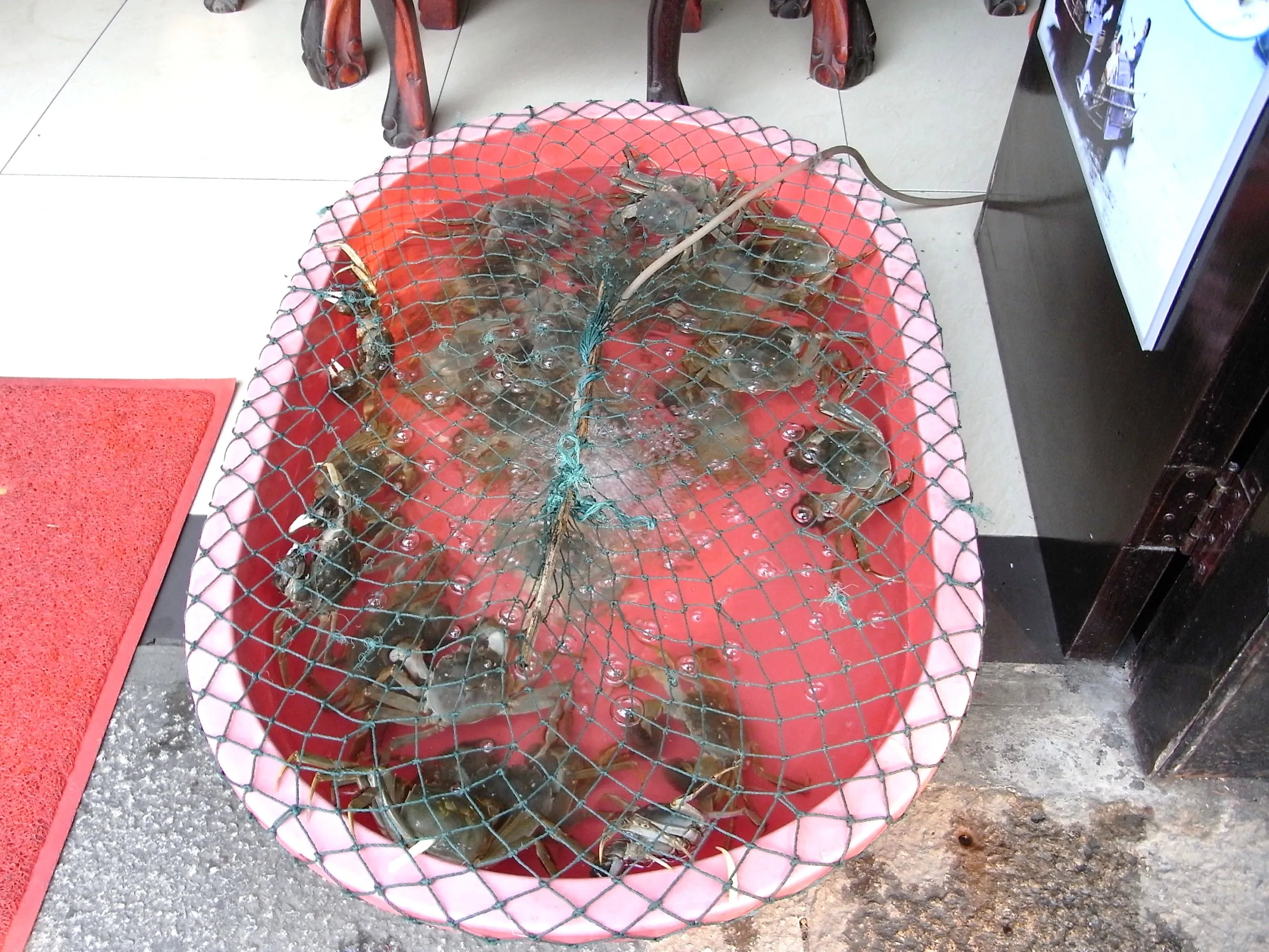 上海蟹が食べられるお店