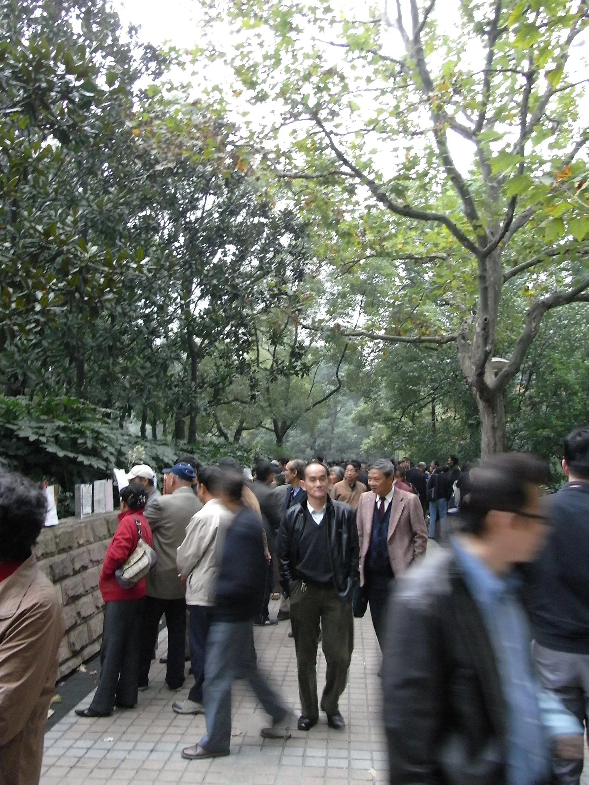 上海人民公園の風景