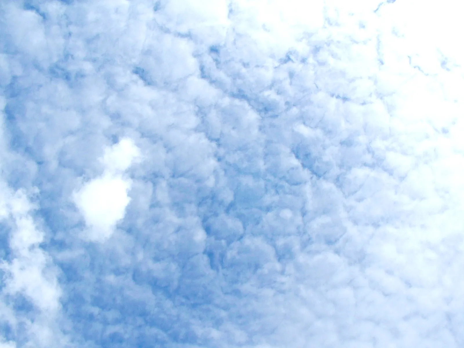 南山牧場の空