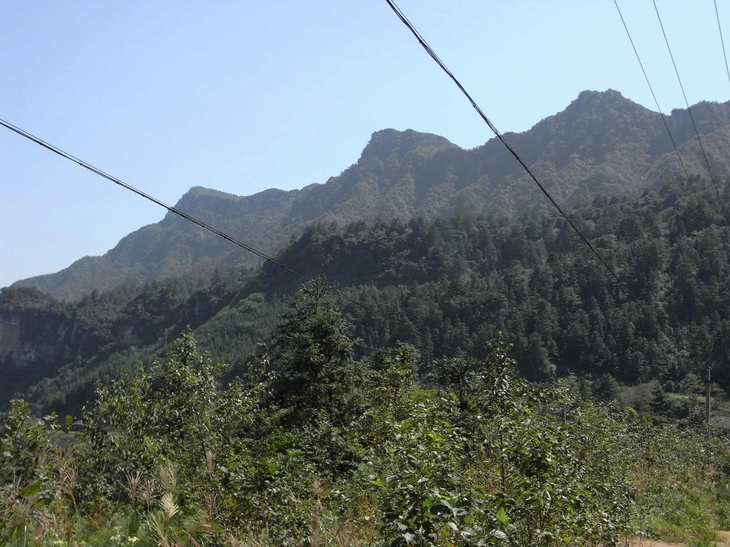 険しい山肌と森林の風景