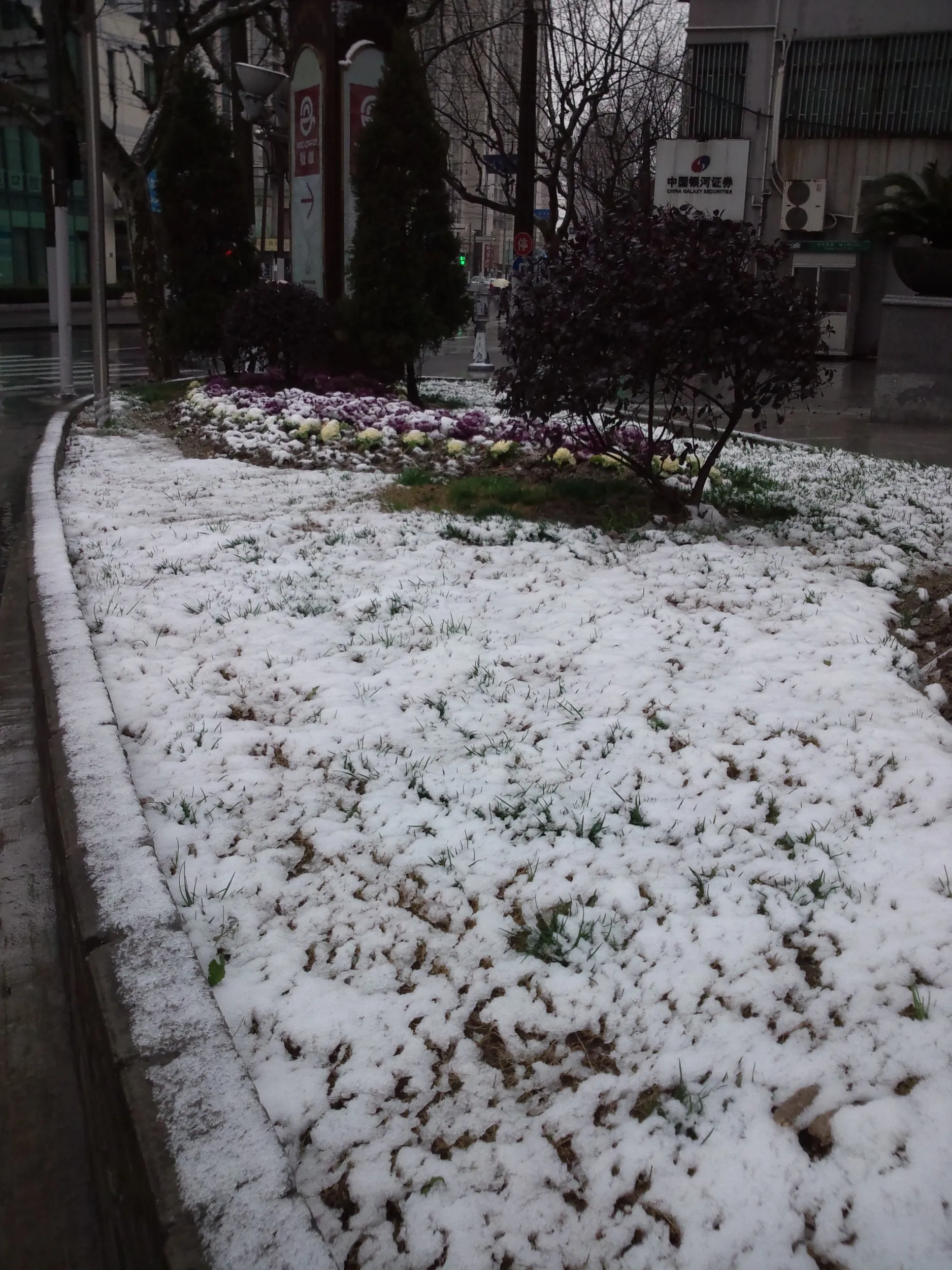 積もった雪