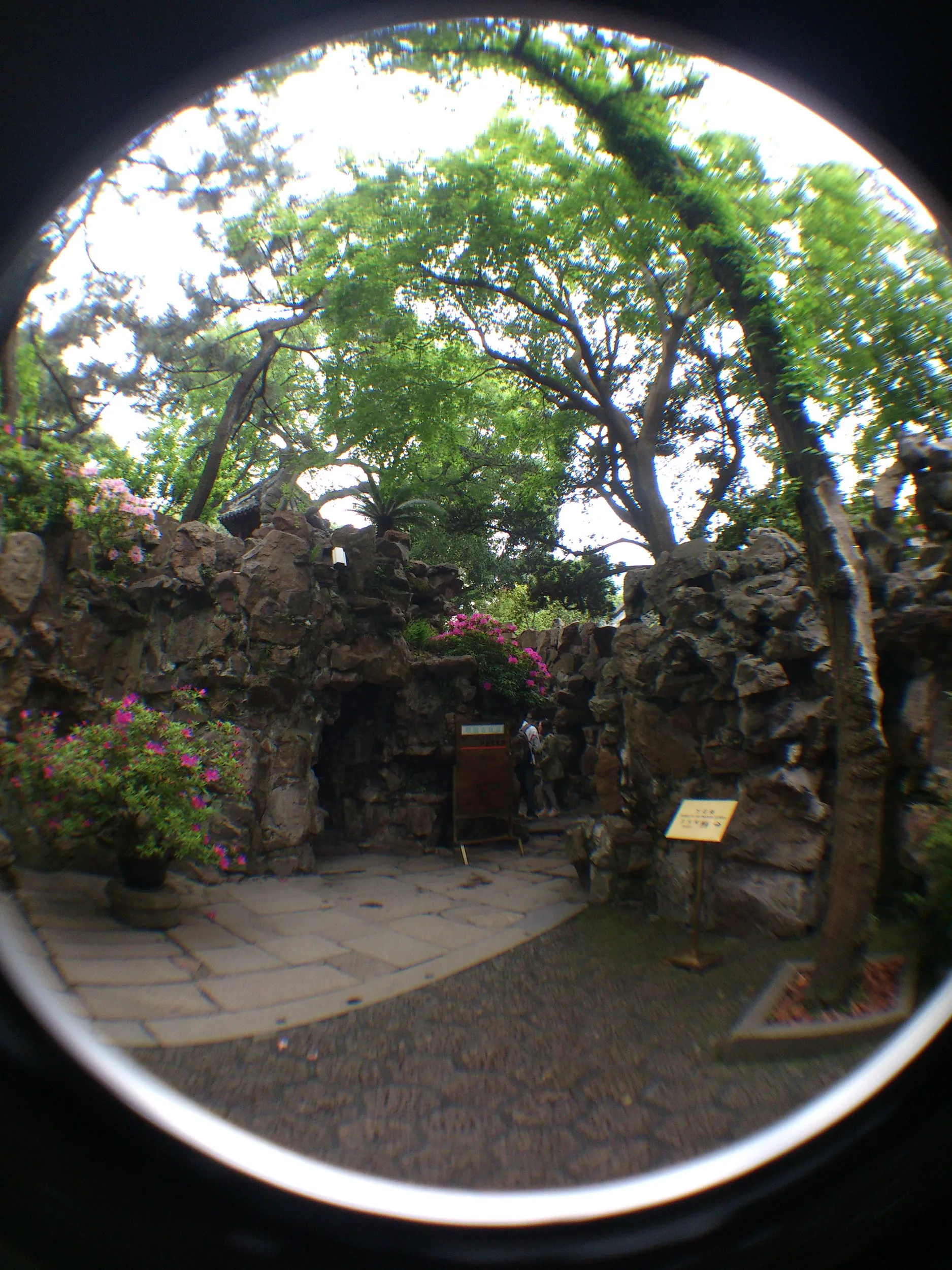 大假山付近
