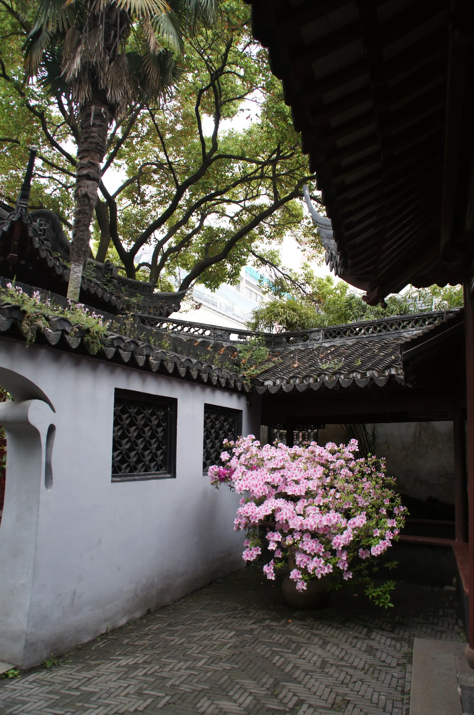 豫園庭園内の風景