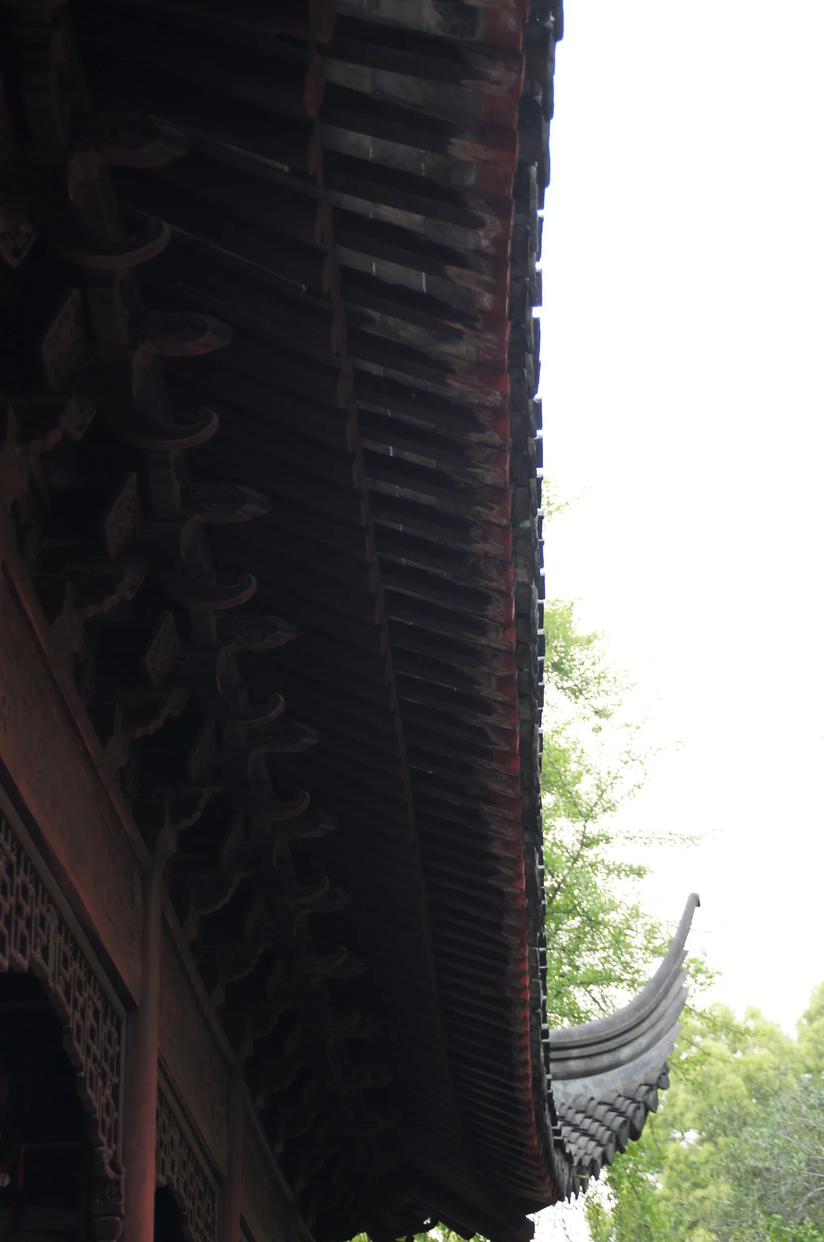 豫園の庭園内