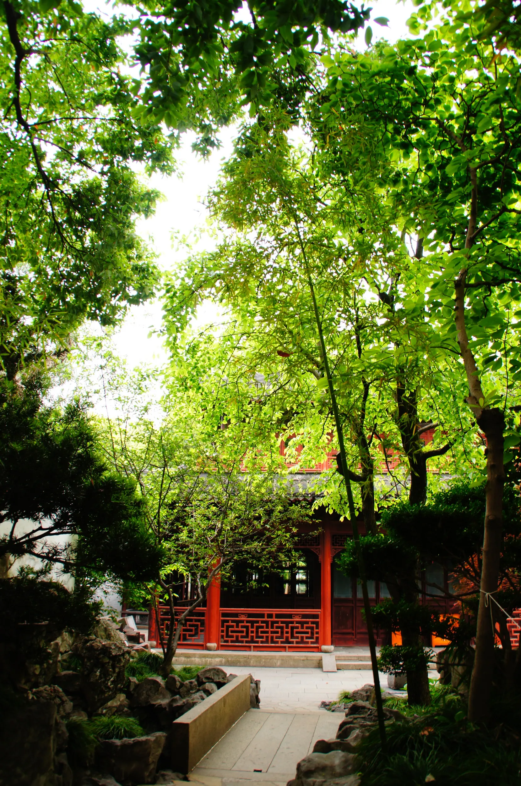 九獅軒付近の風景