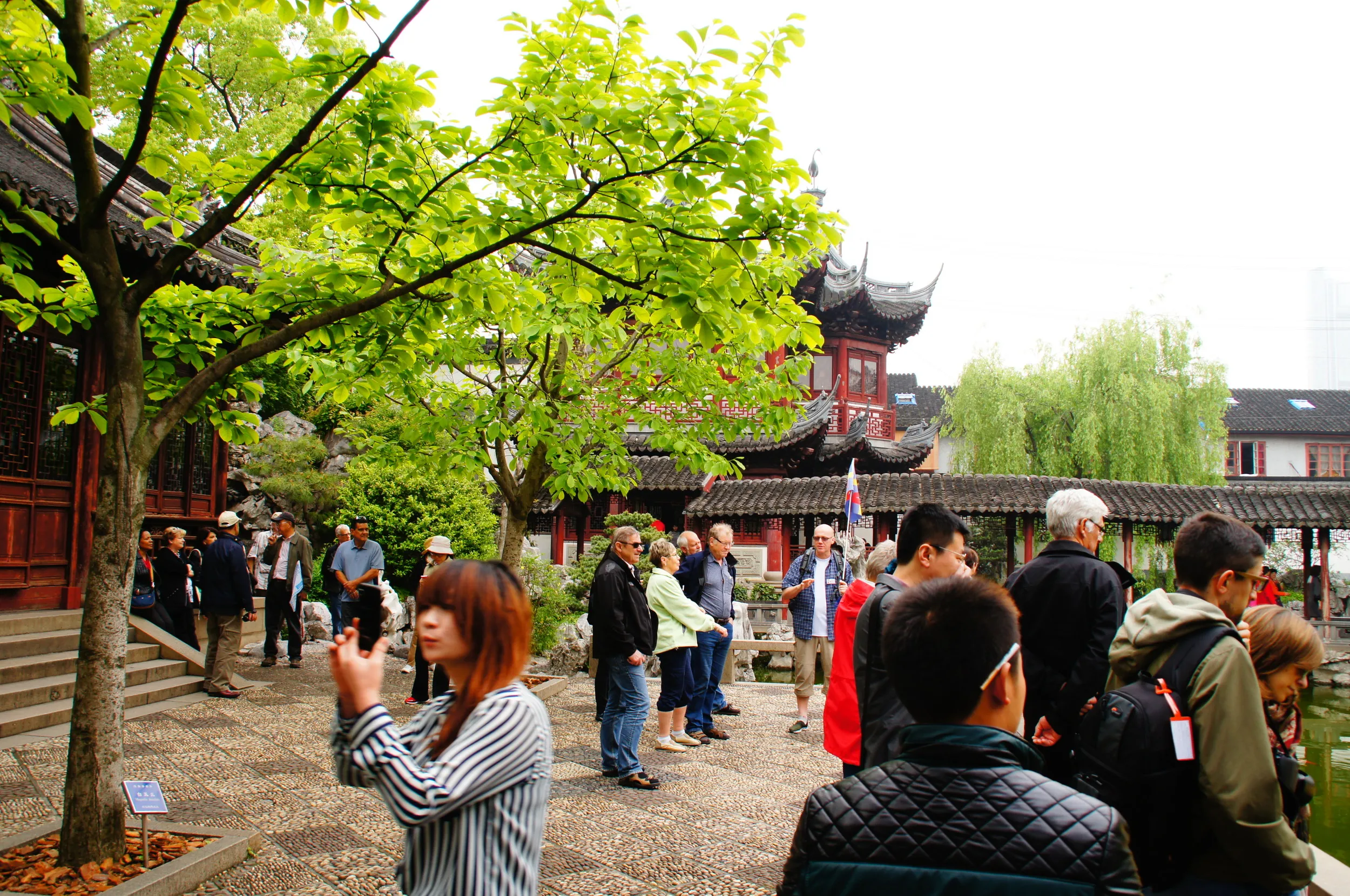 内園付近の風景
