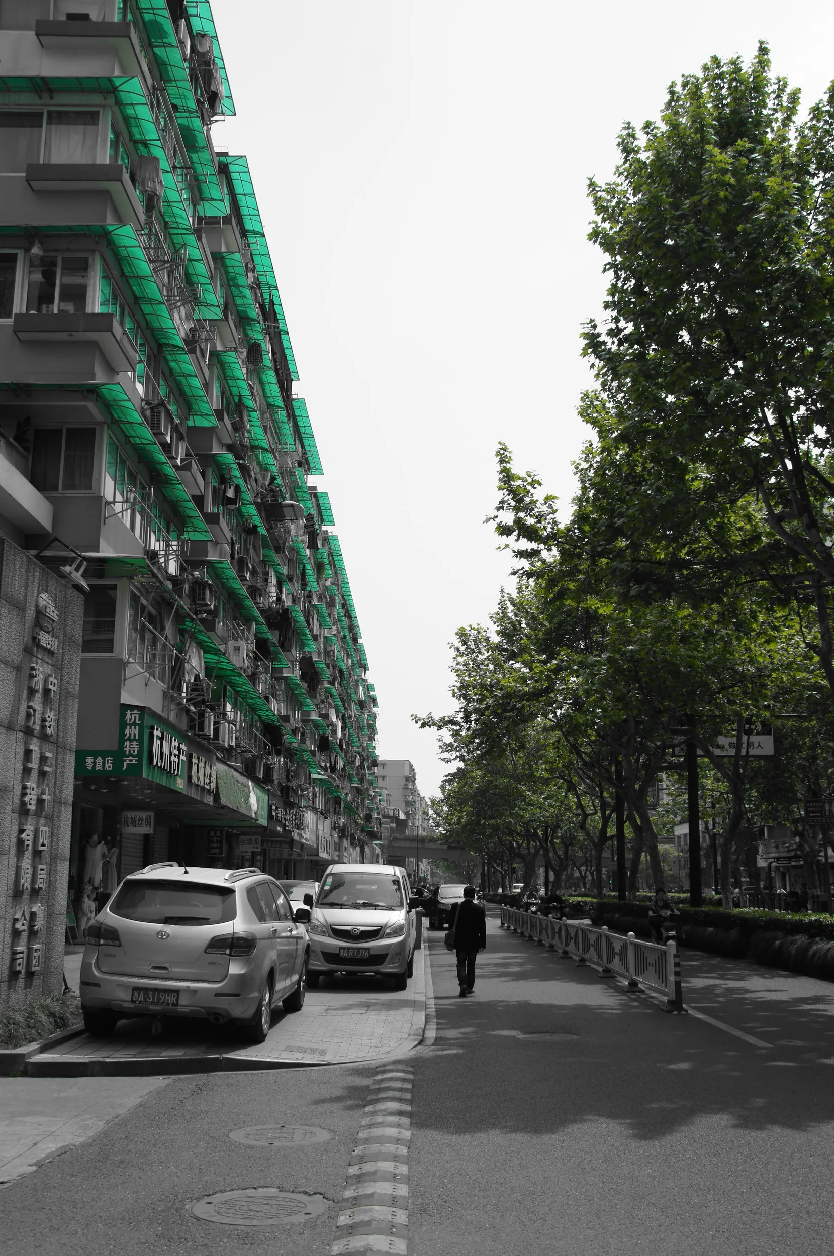 江城路沿いのマンションと街路樹
