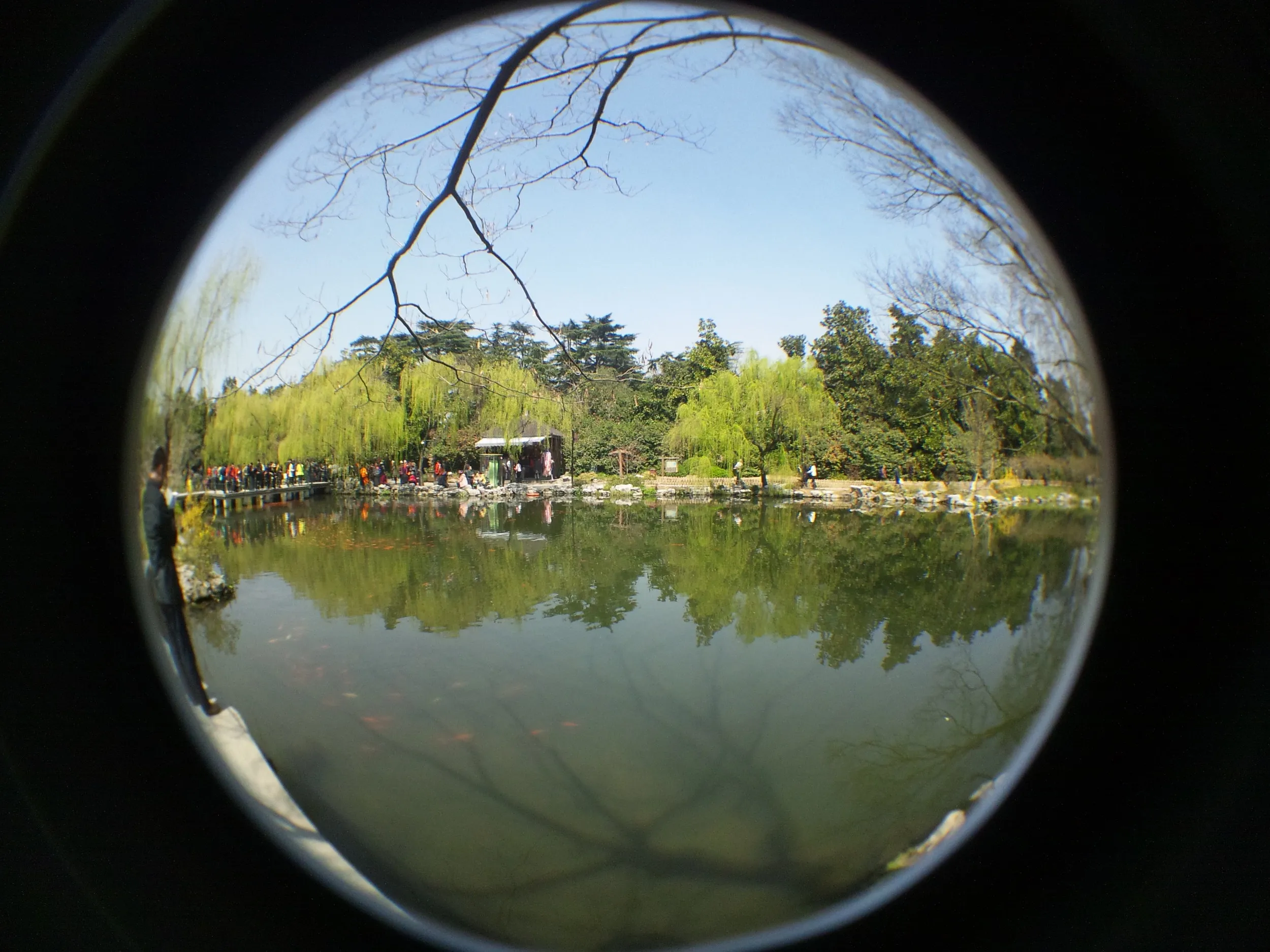 紅魚池の風景
