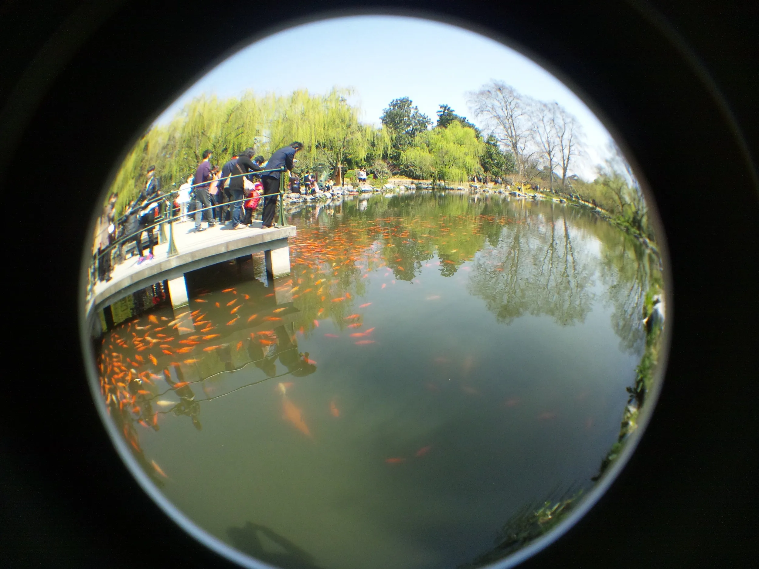 花港公園