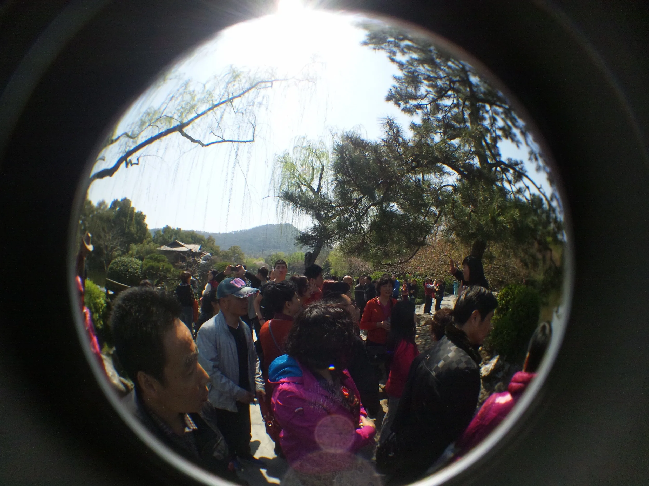 花港公園