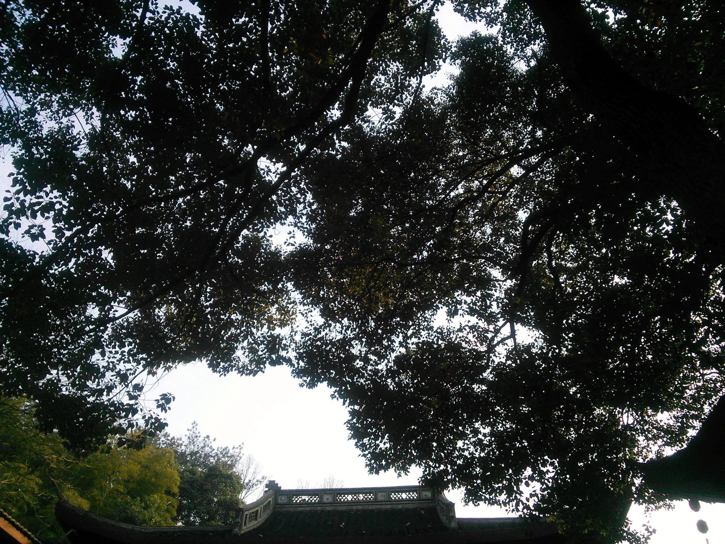 黄龍洞の風景
