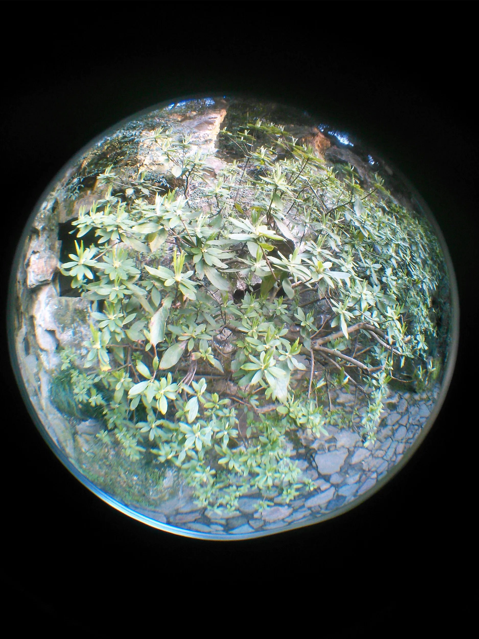 奇岩