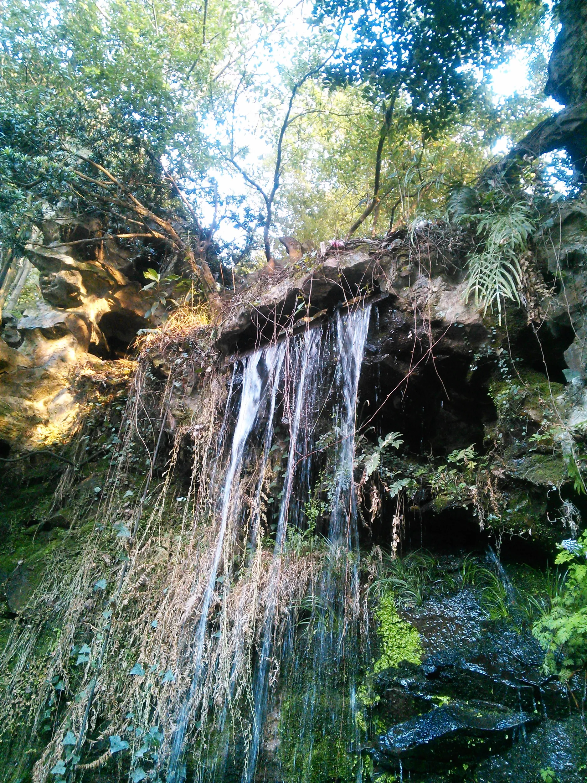 小黄龍の滝壺