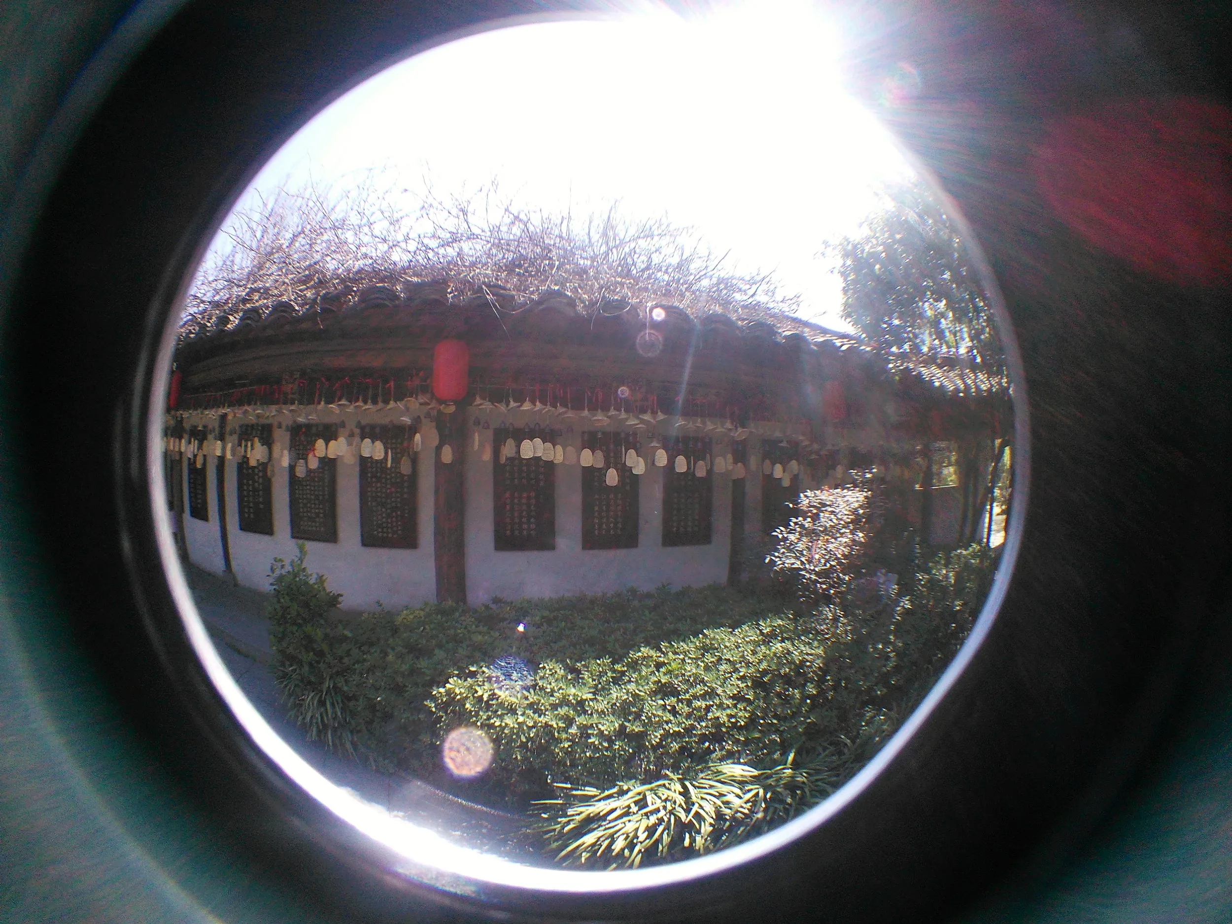 沈園を観光