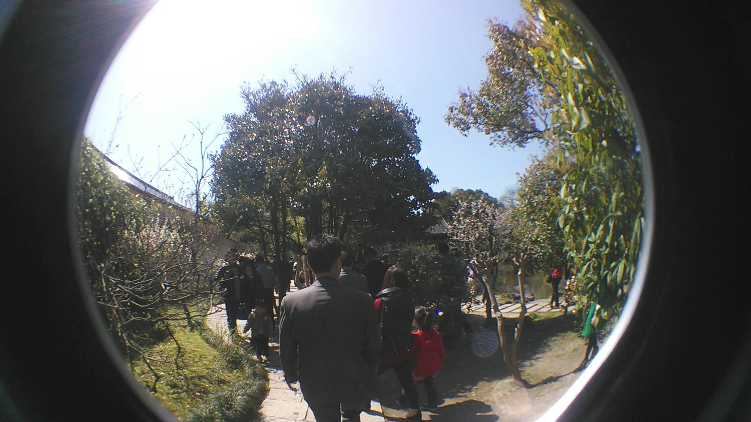 沈園を観光