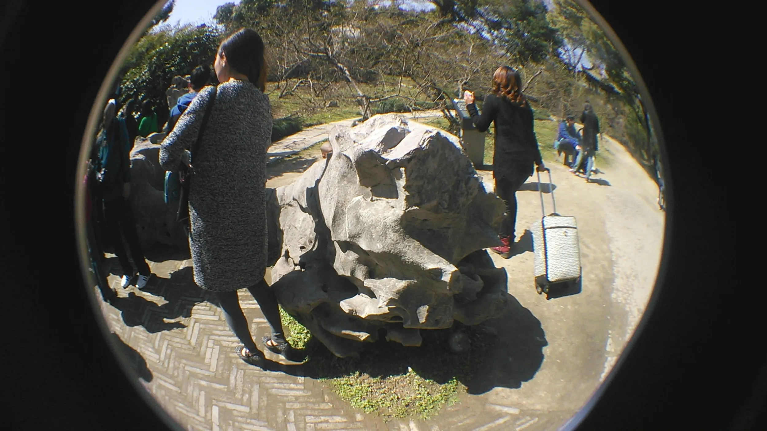 沈園景観区