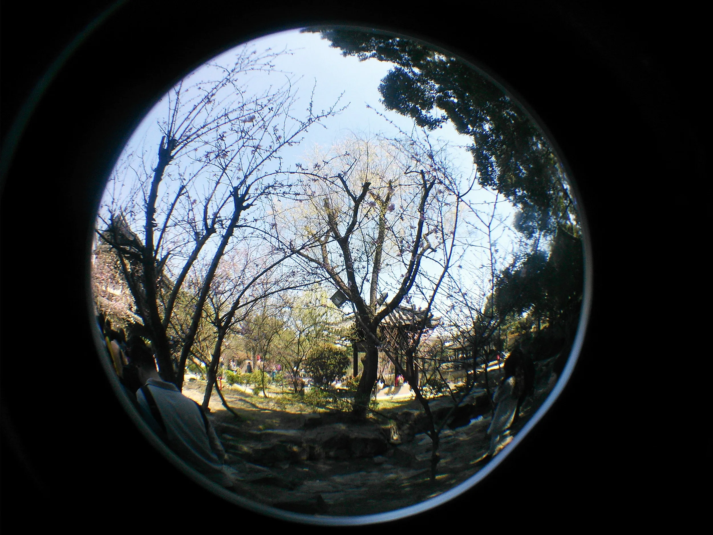 沈園景観区