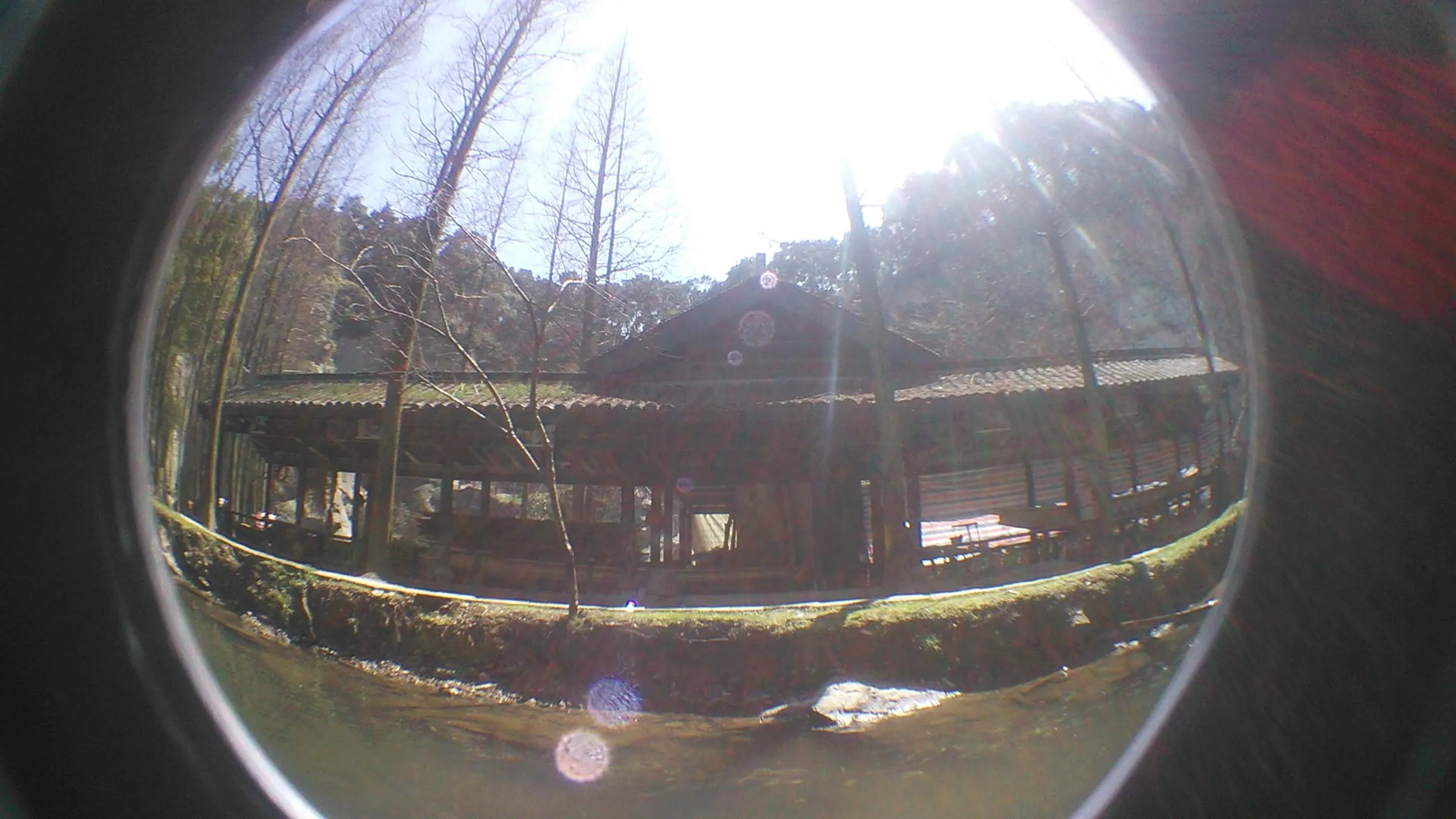 東湖の風景