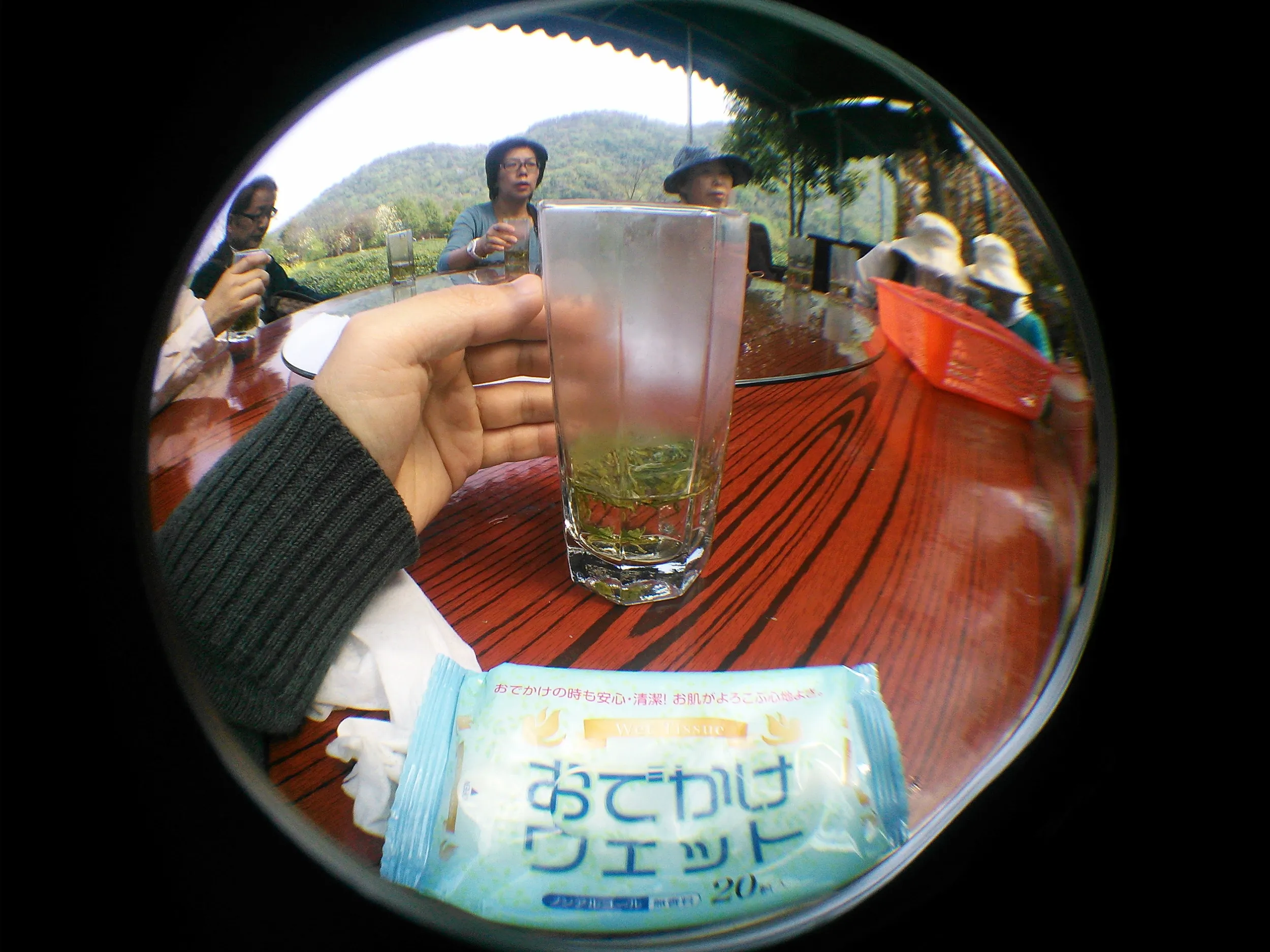 新茶を試飲する