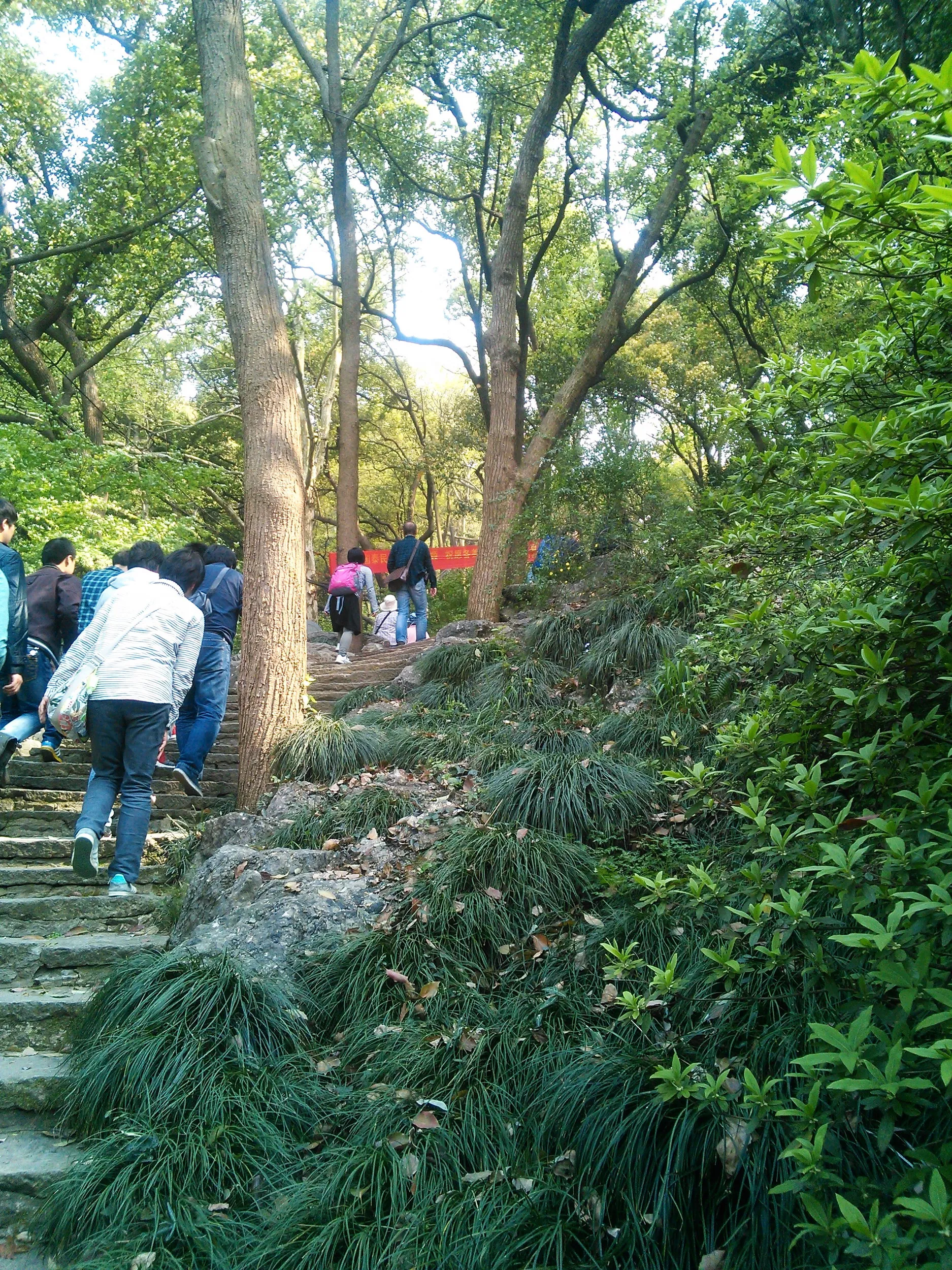 玉皇山へ登る