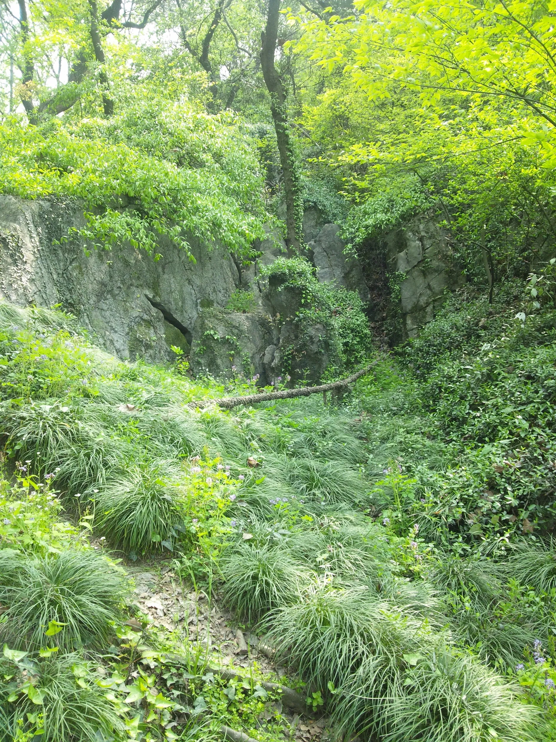 玉皇山へ登る