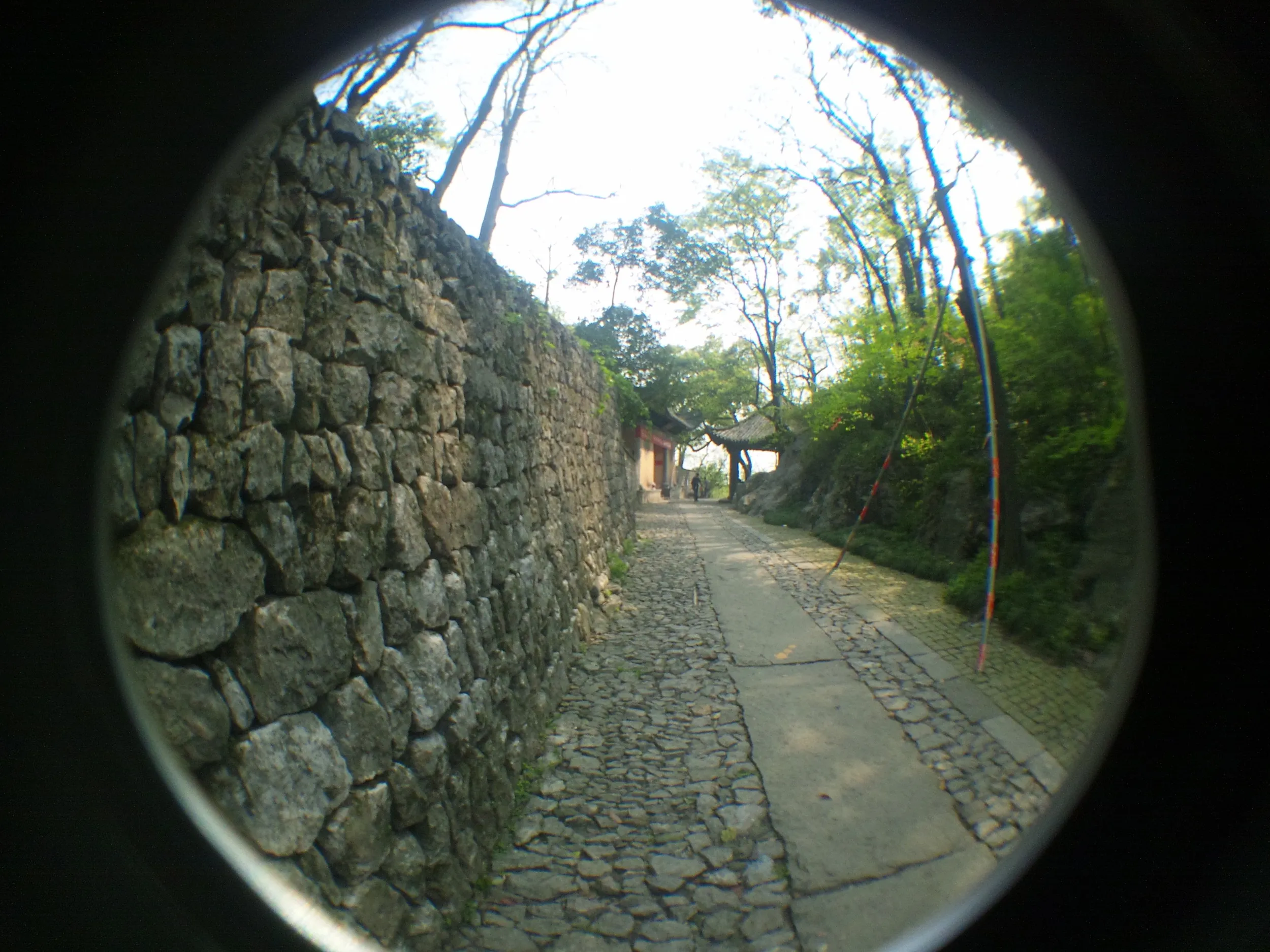玉皇山へ登る