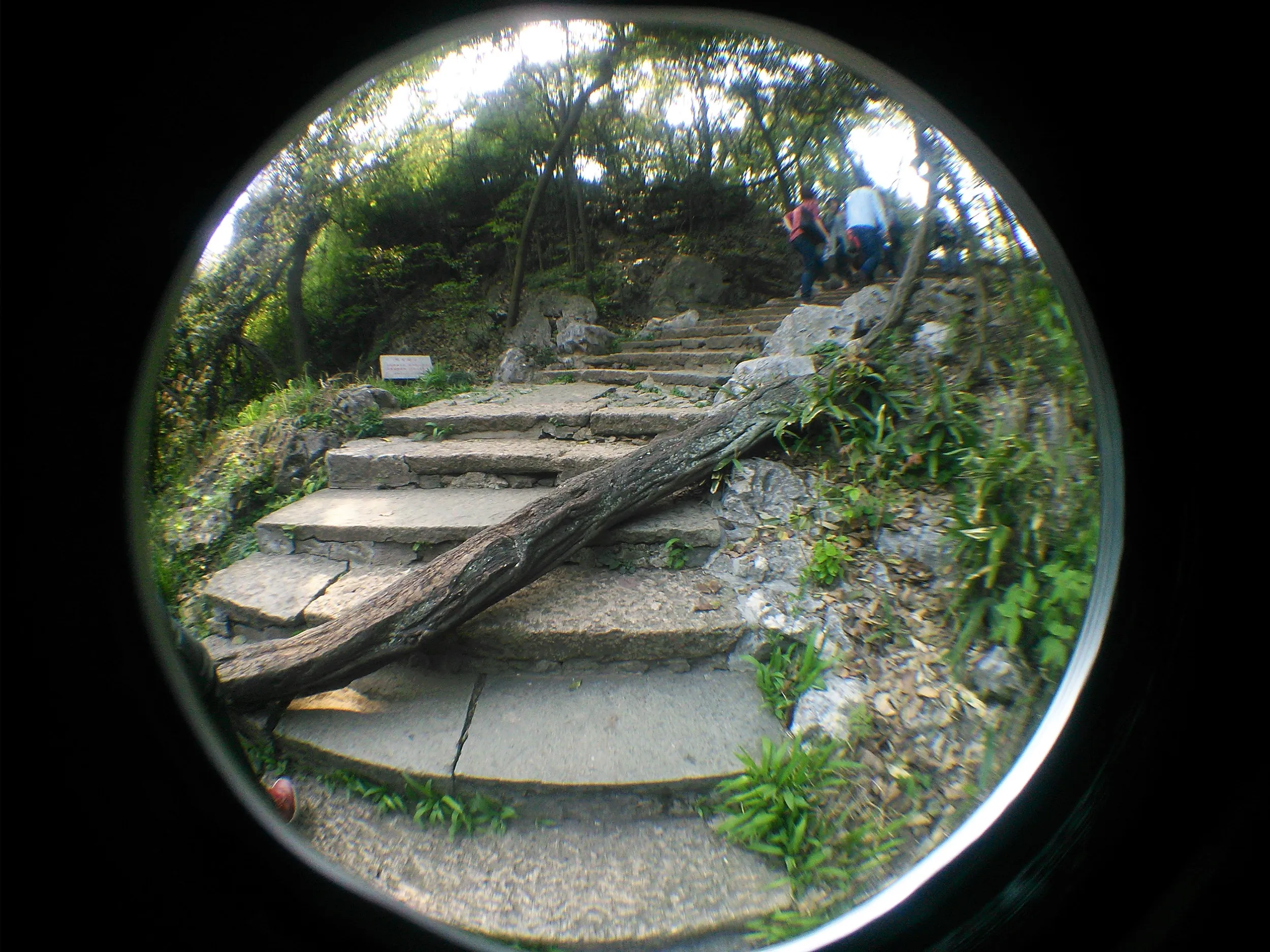 玉皇山へ登る
