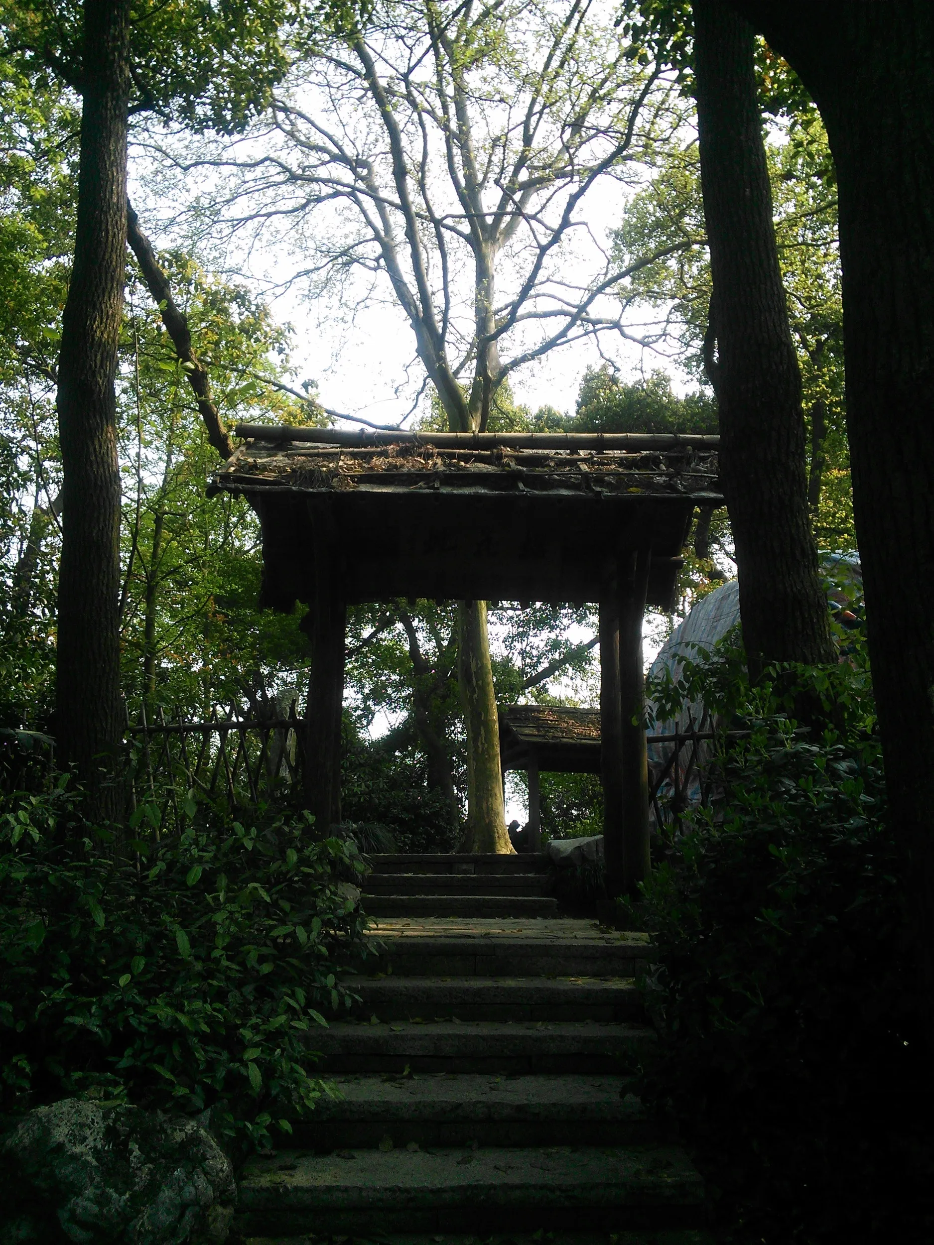 玉皇山へ登る