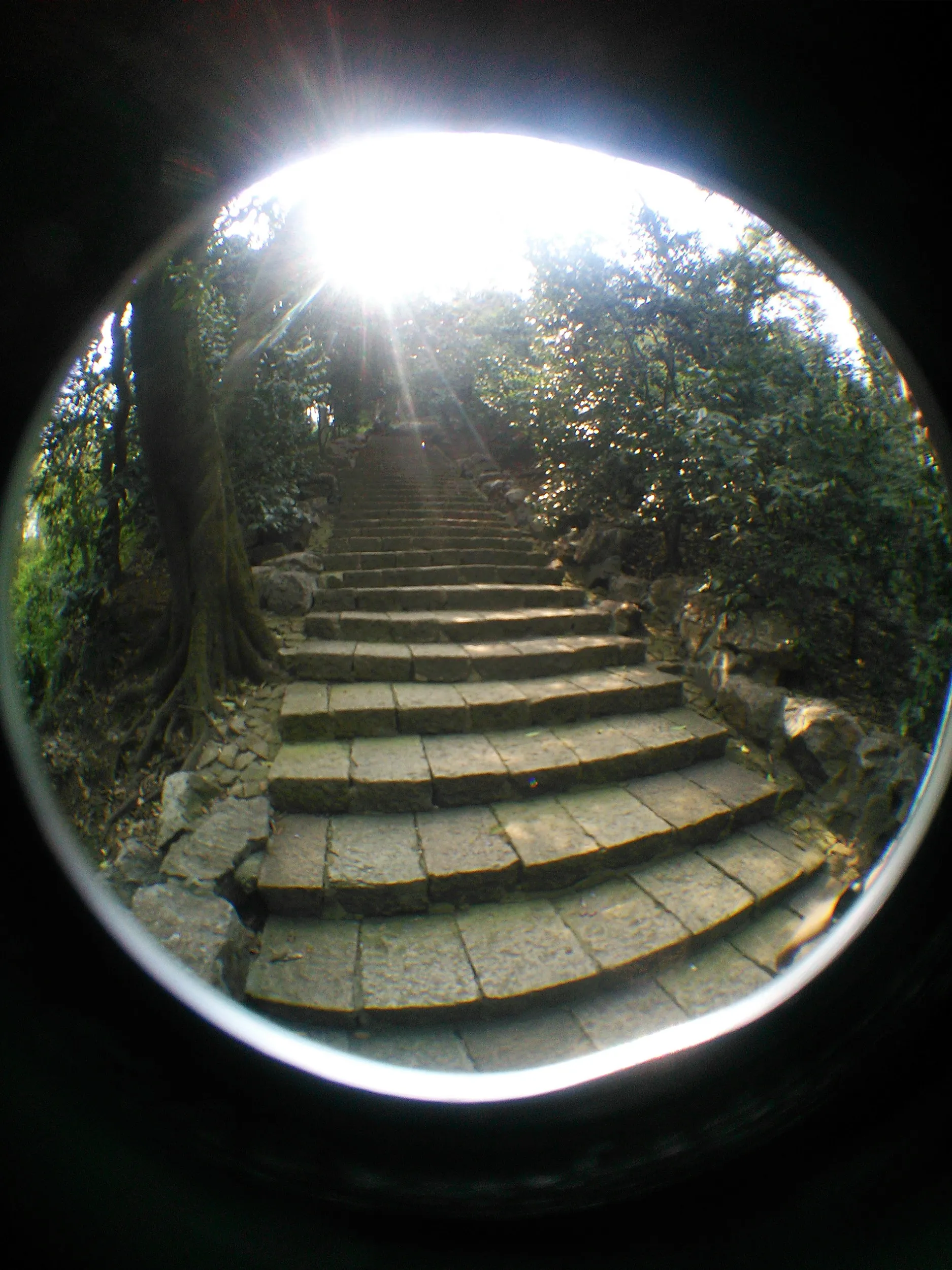 玉皇山へ登る