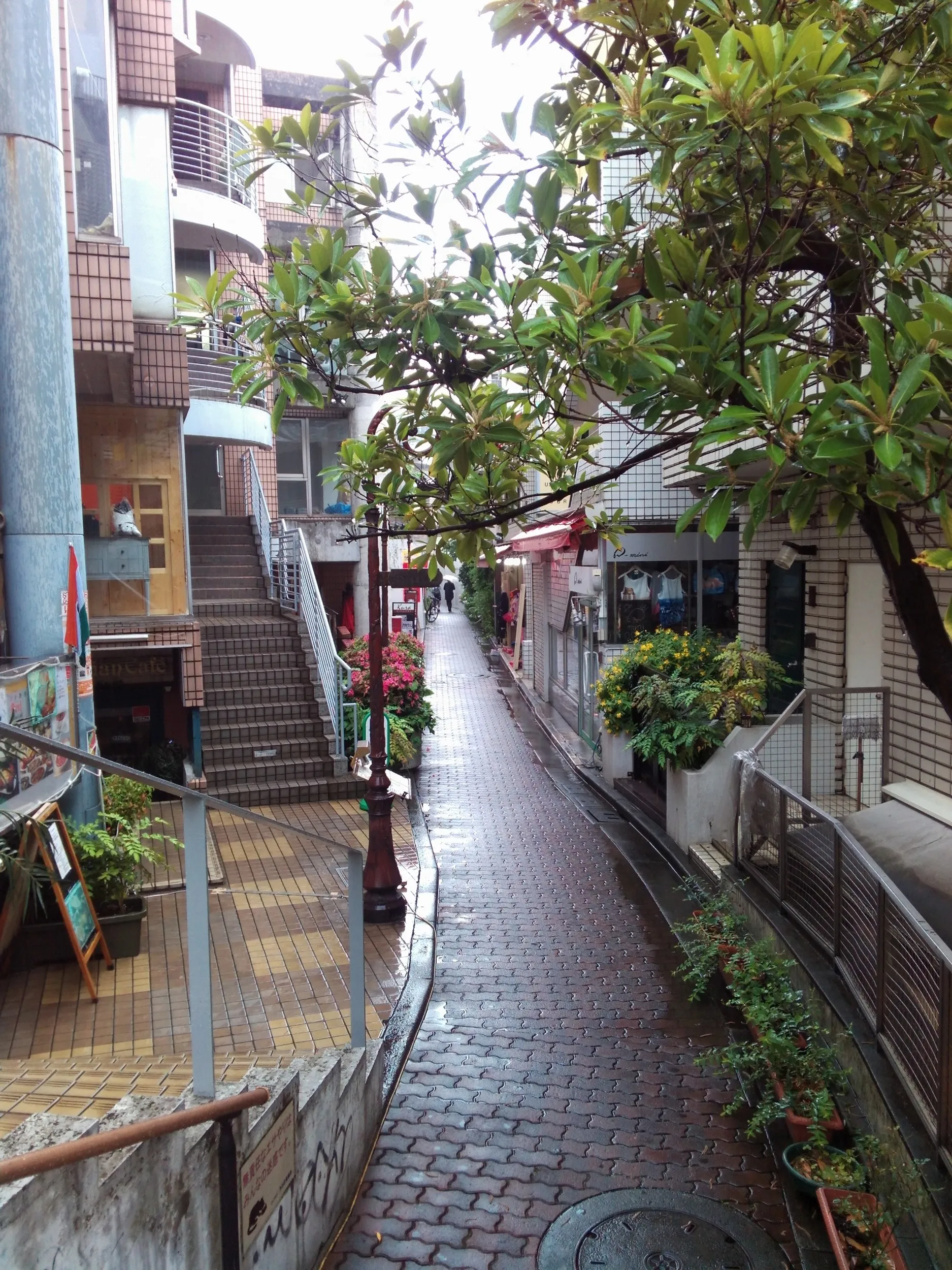原宿