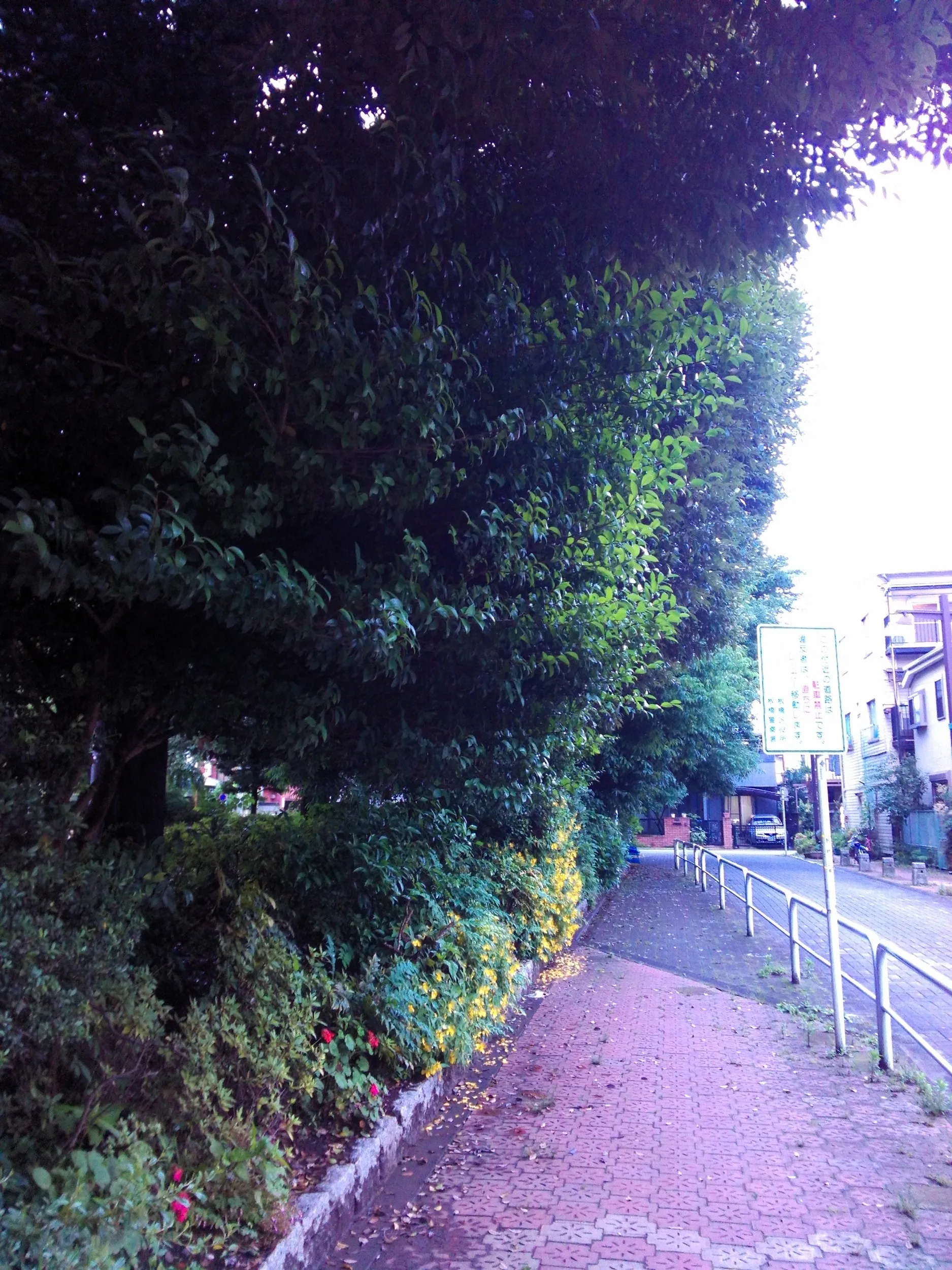 原宿