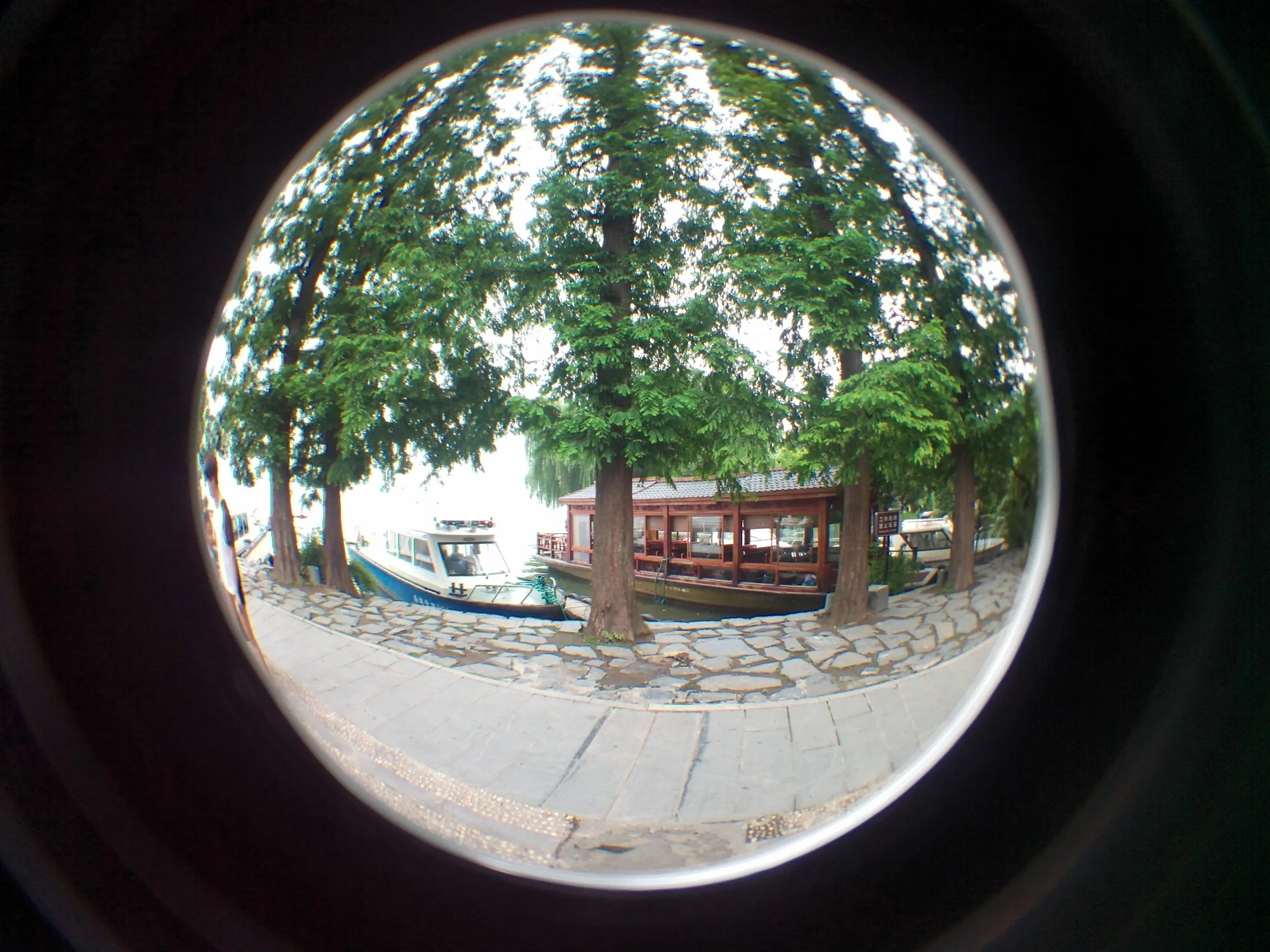 西湖湖畔