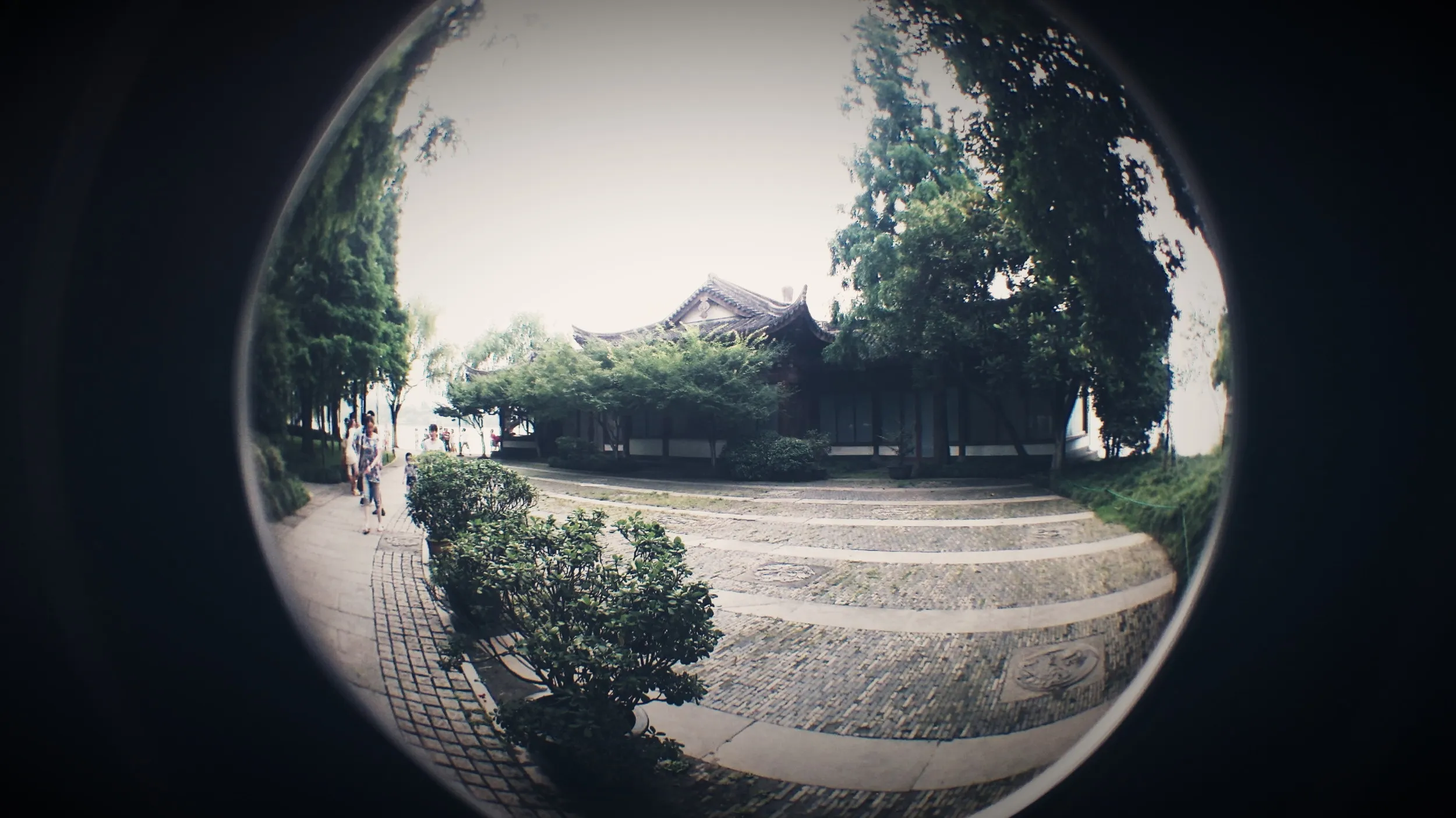 西湖湖畔