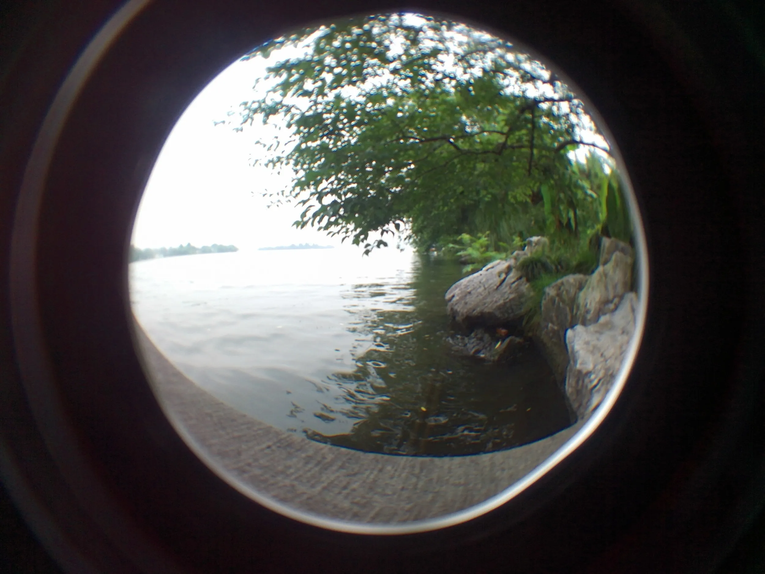 西湖湖畔