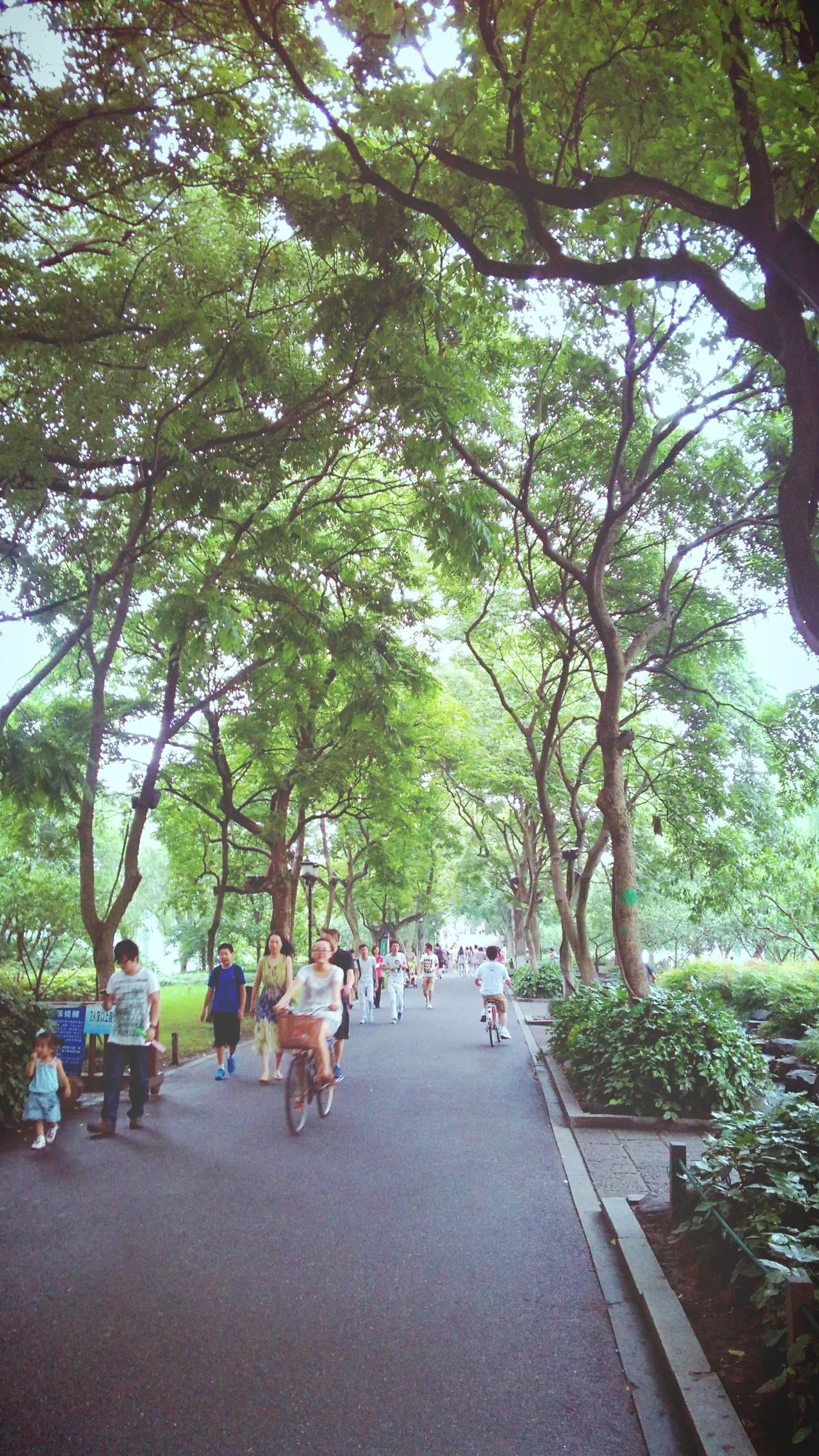 蘇堤
