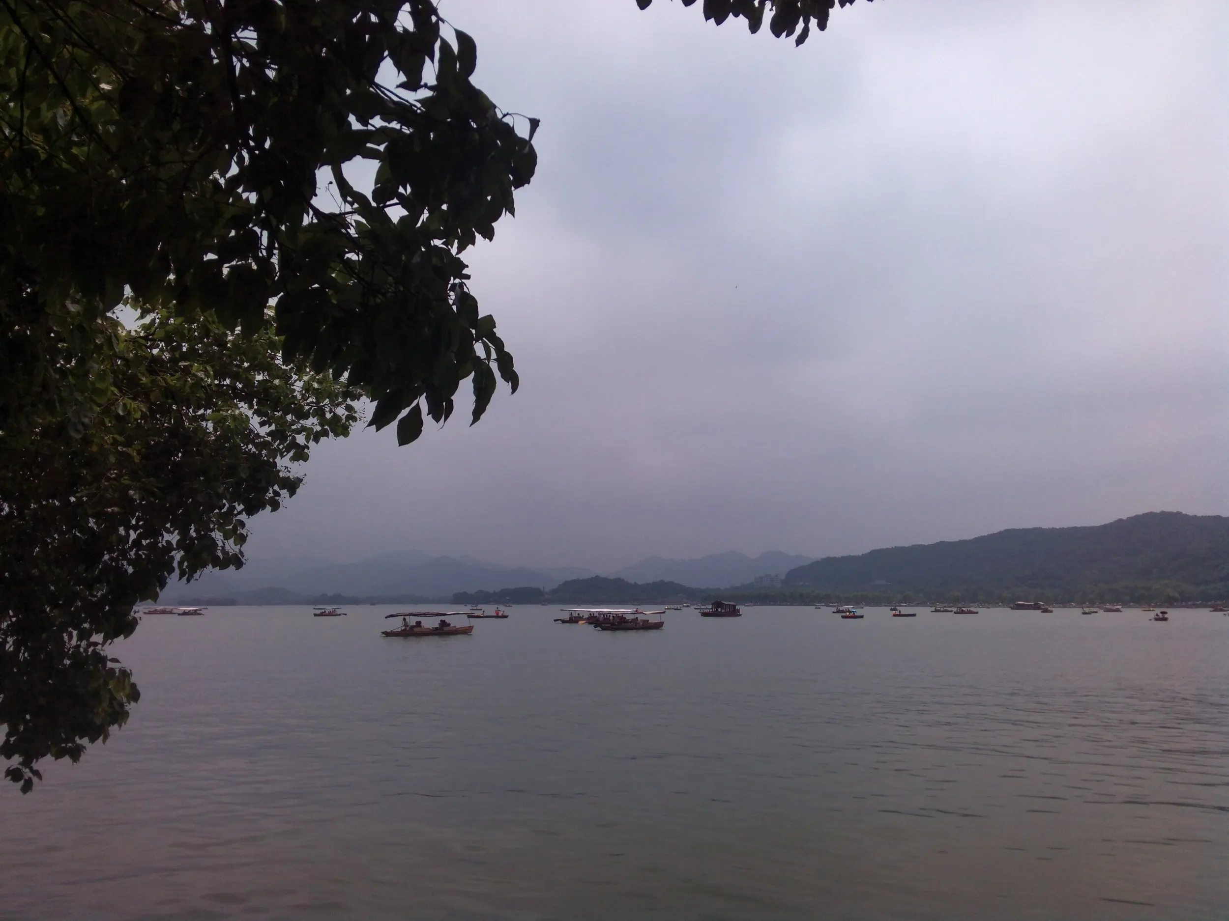 西湖の風景