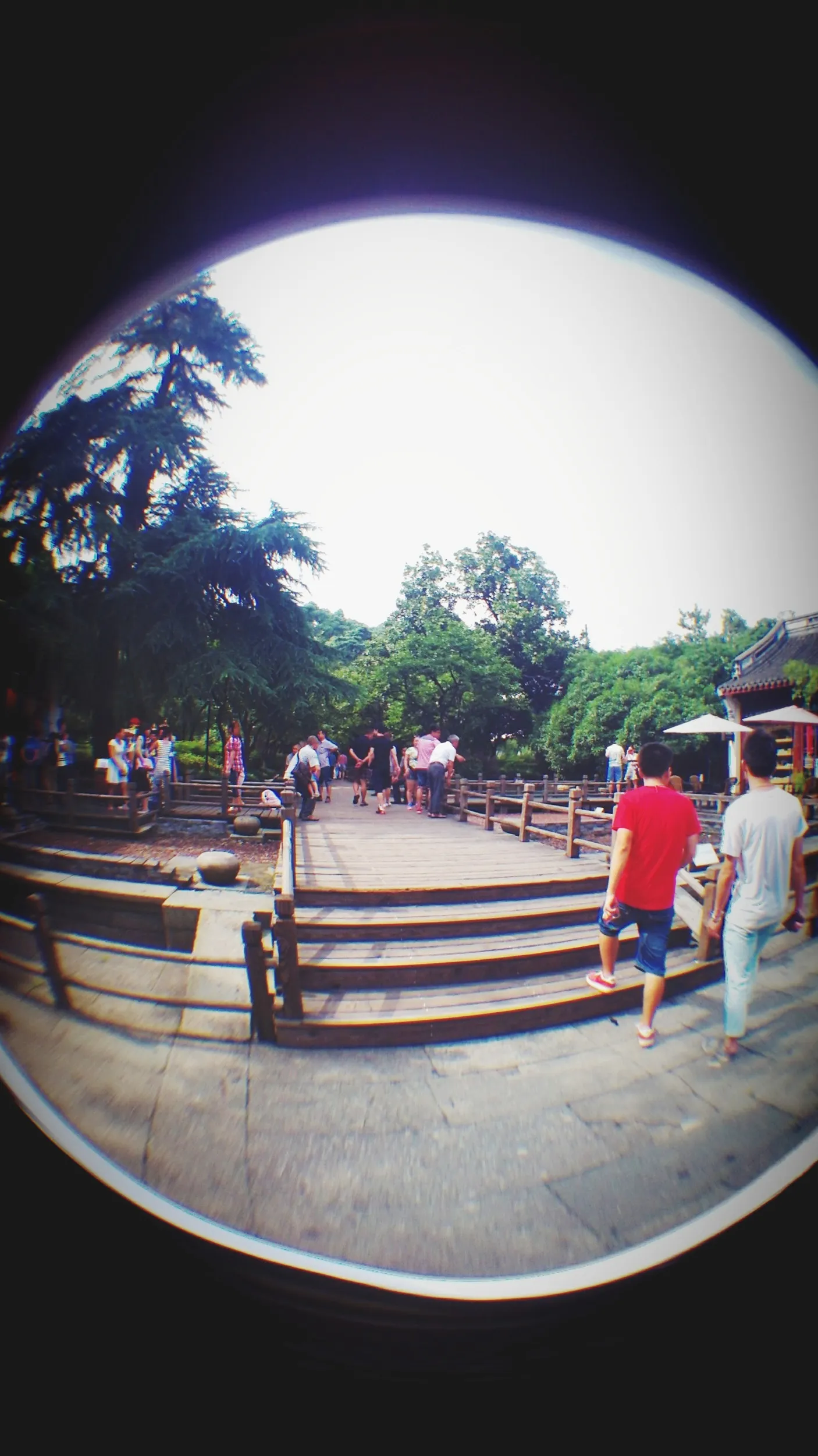 中山公園