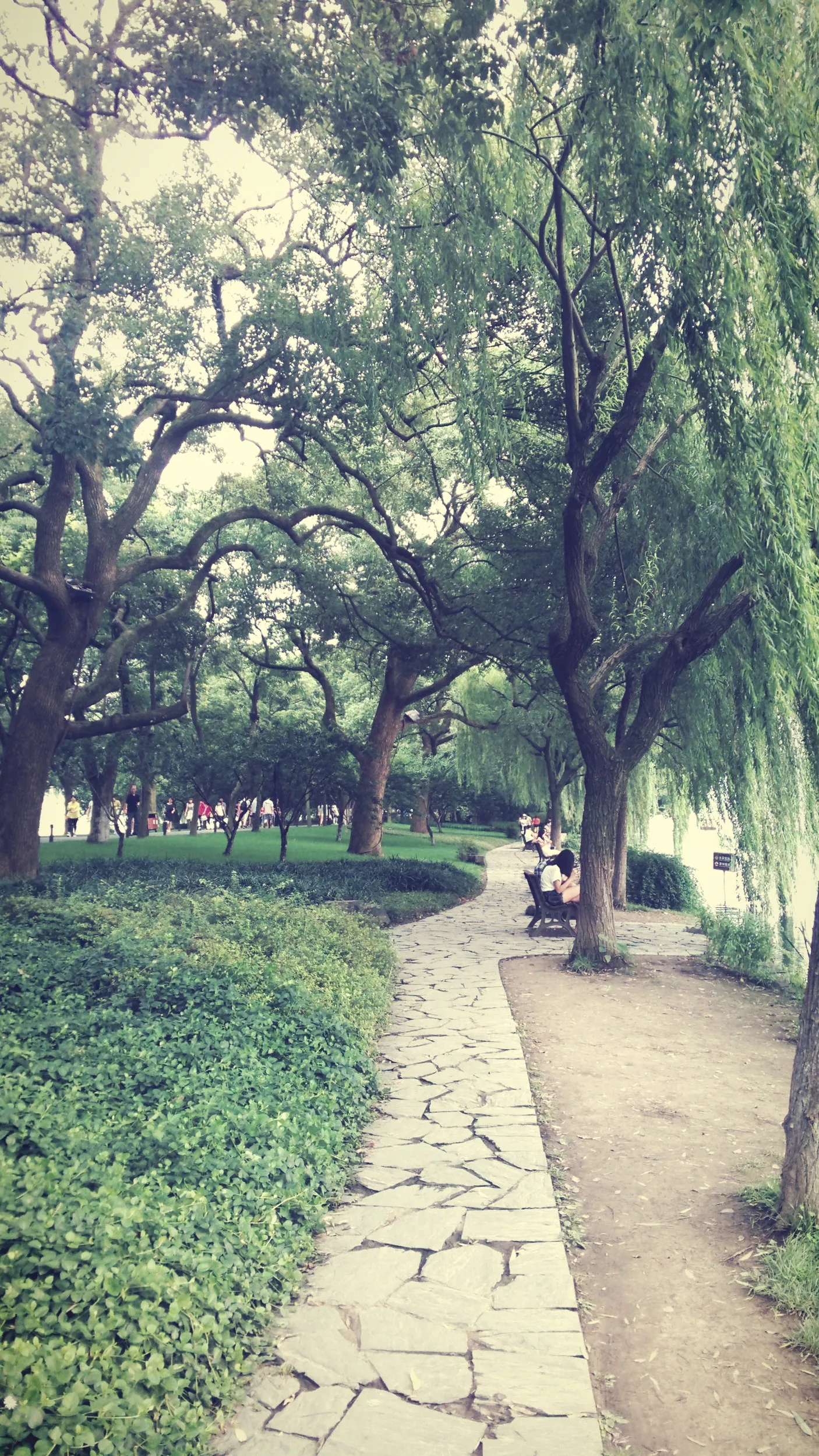 蘇堤の風景