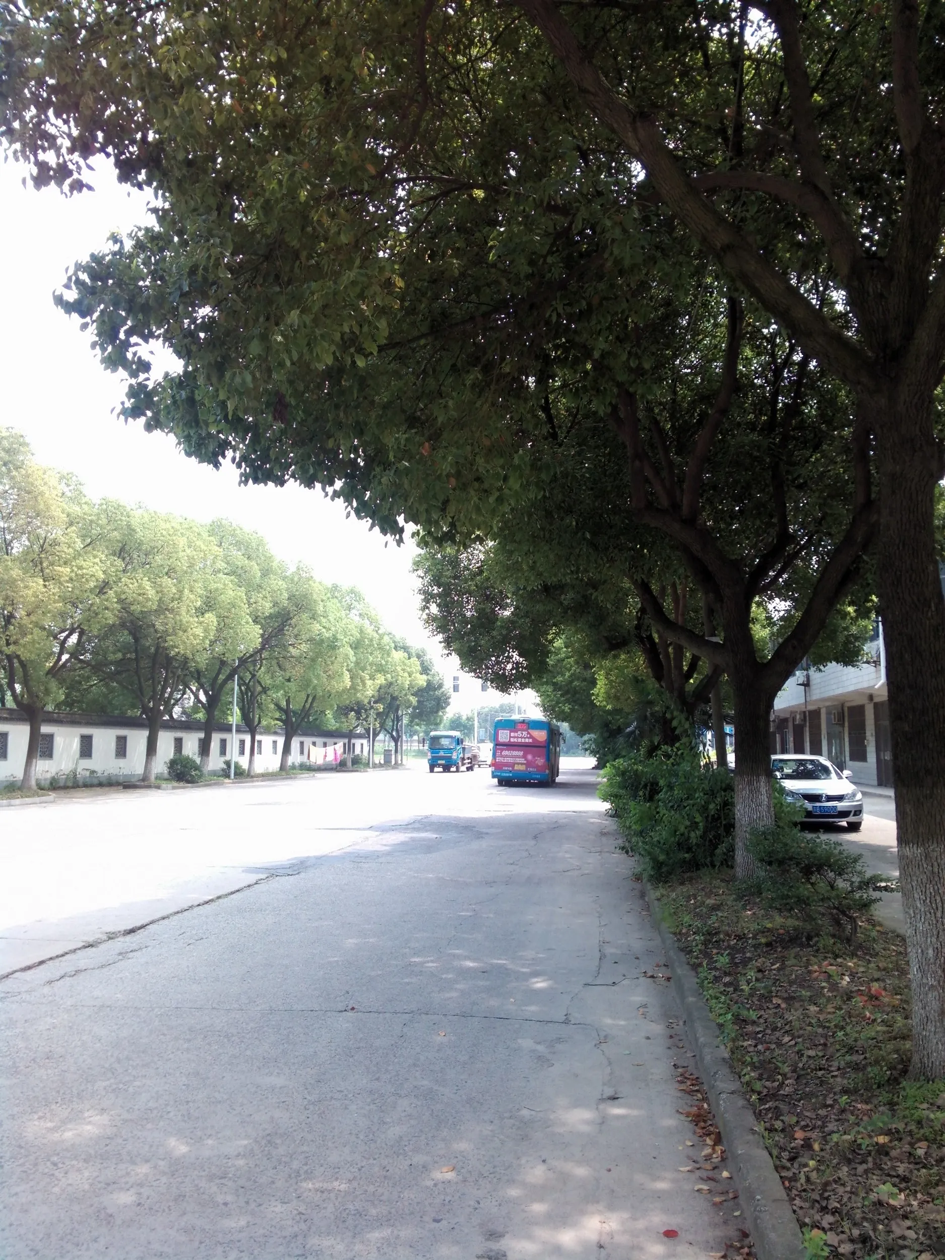 縁渓道