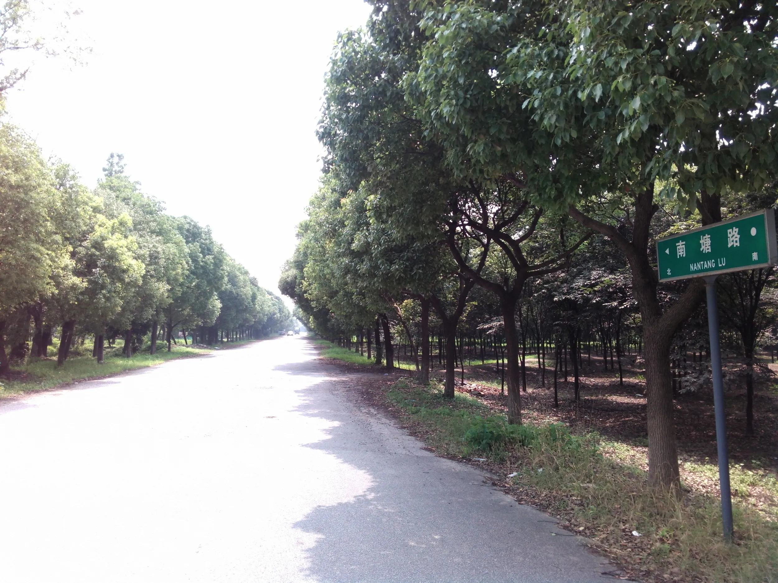 興隆路