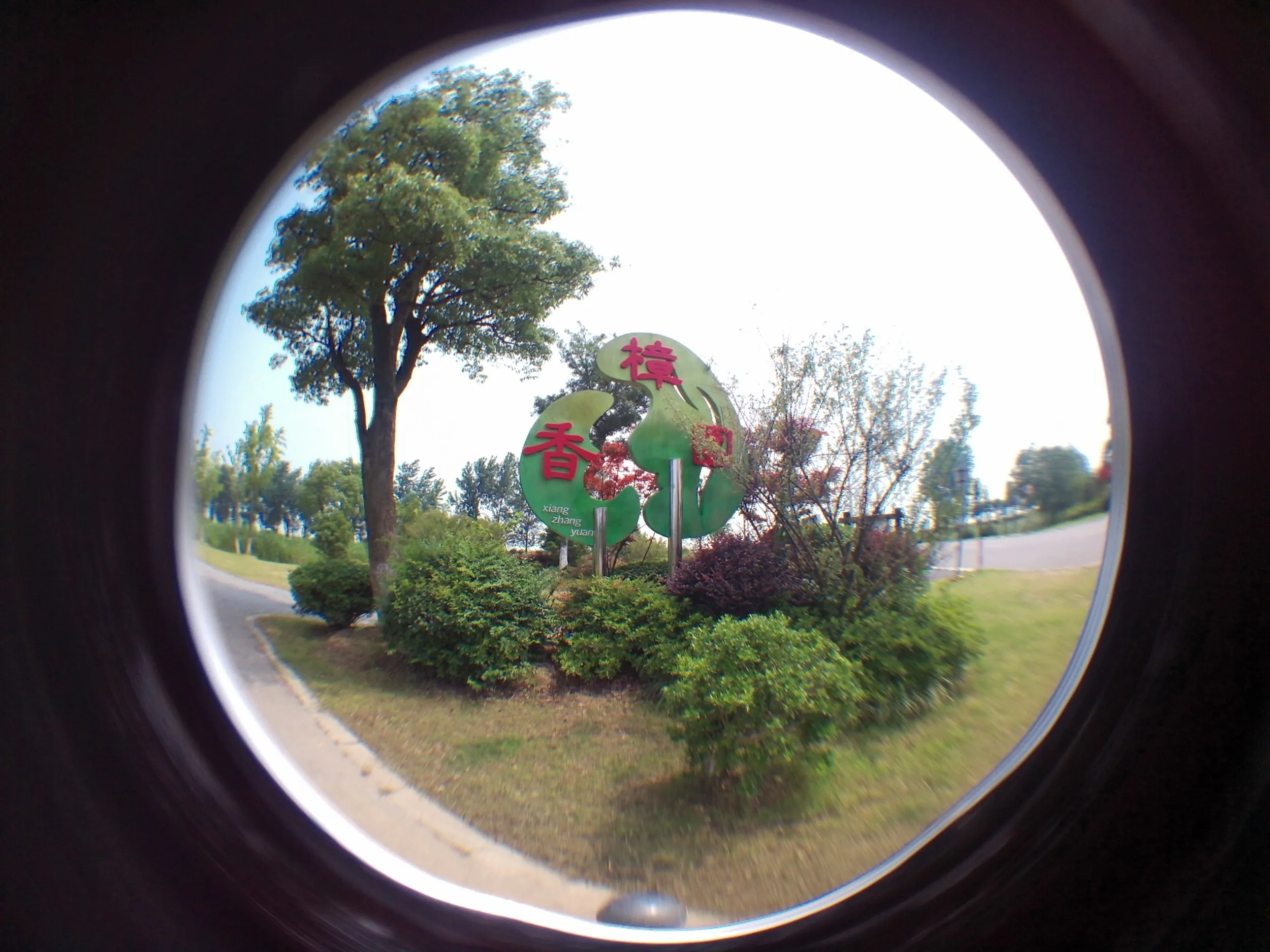 香樟園
