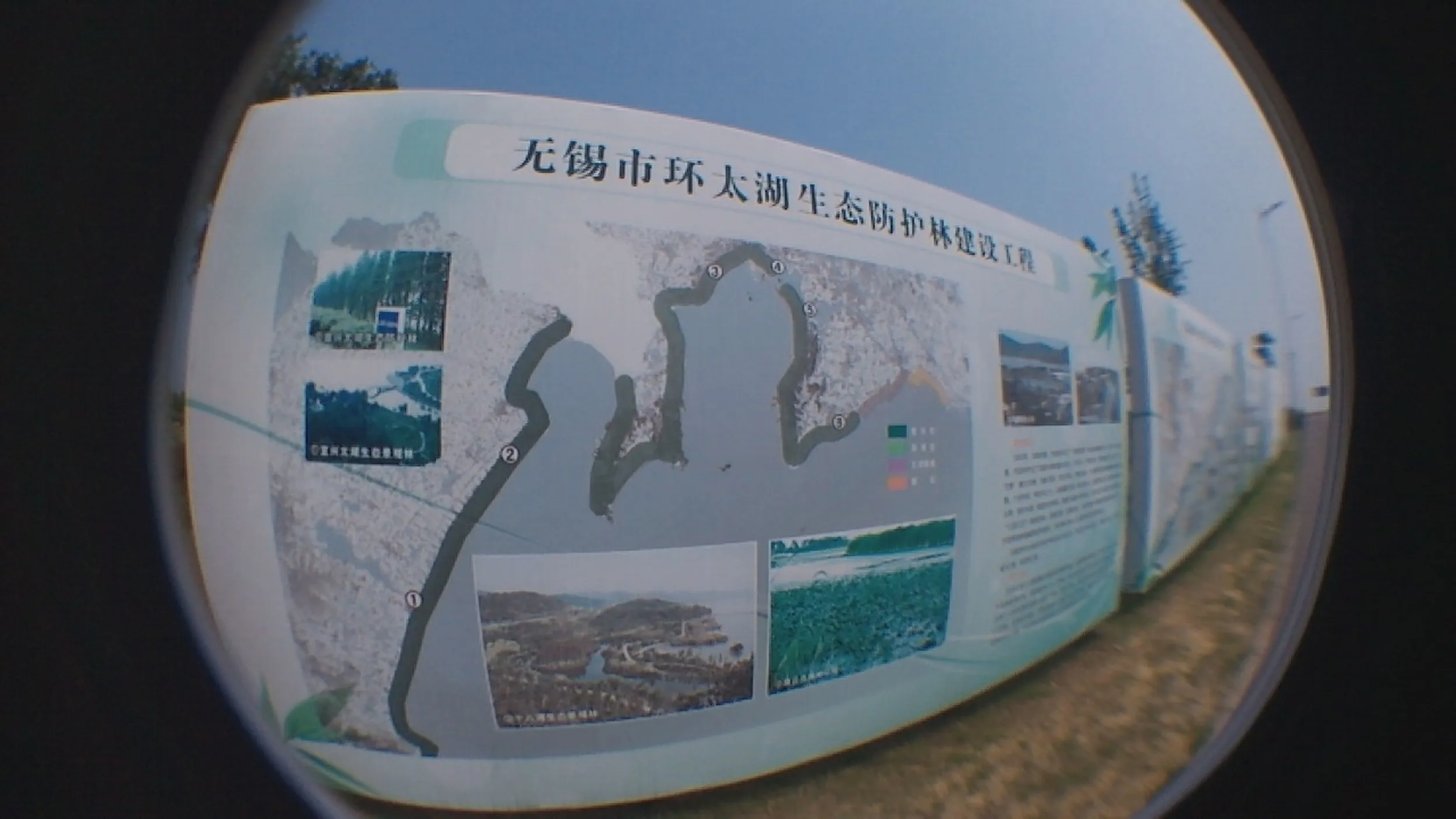 生態林の植林工事の工程表