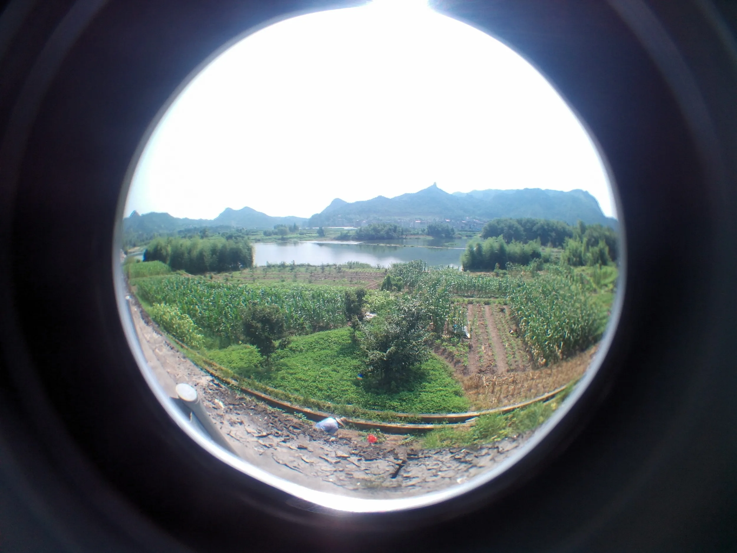 路沿いの風景