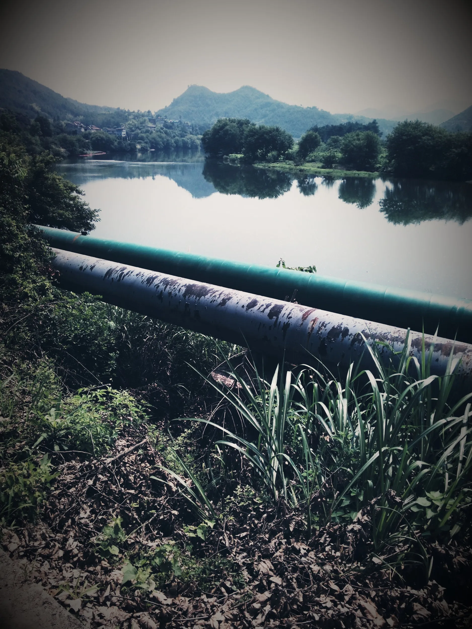 路沿いの風景