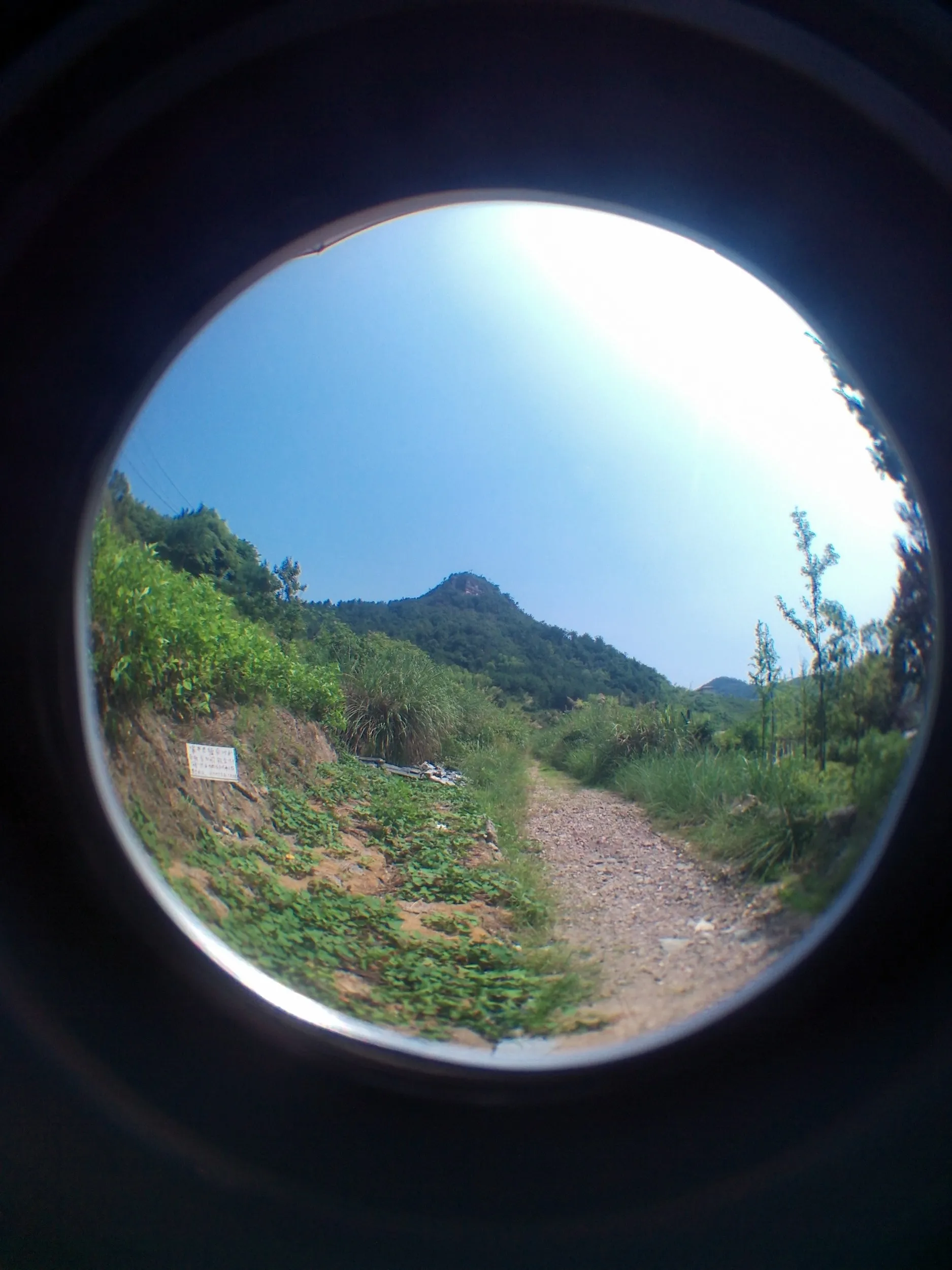 山道へそれた