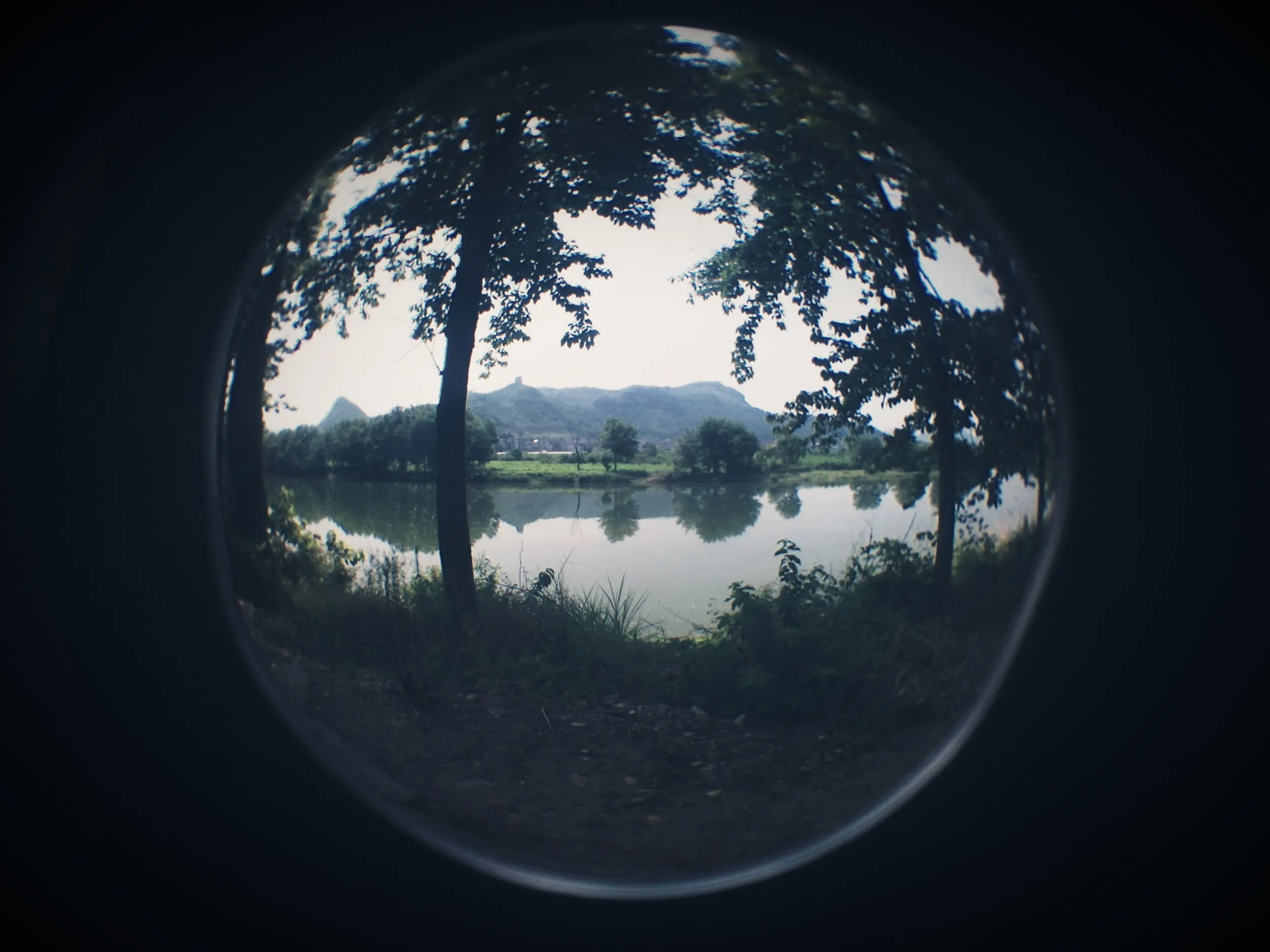 川の風景