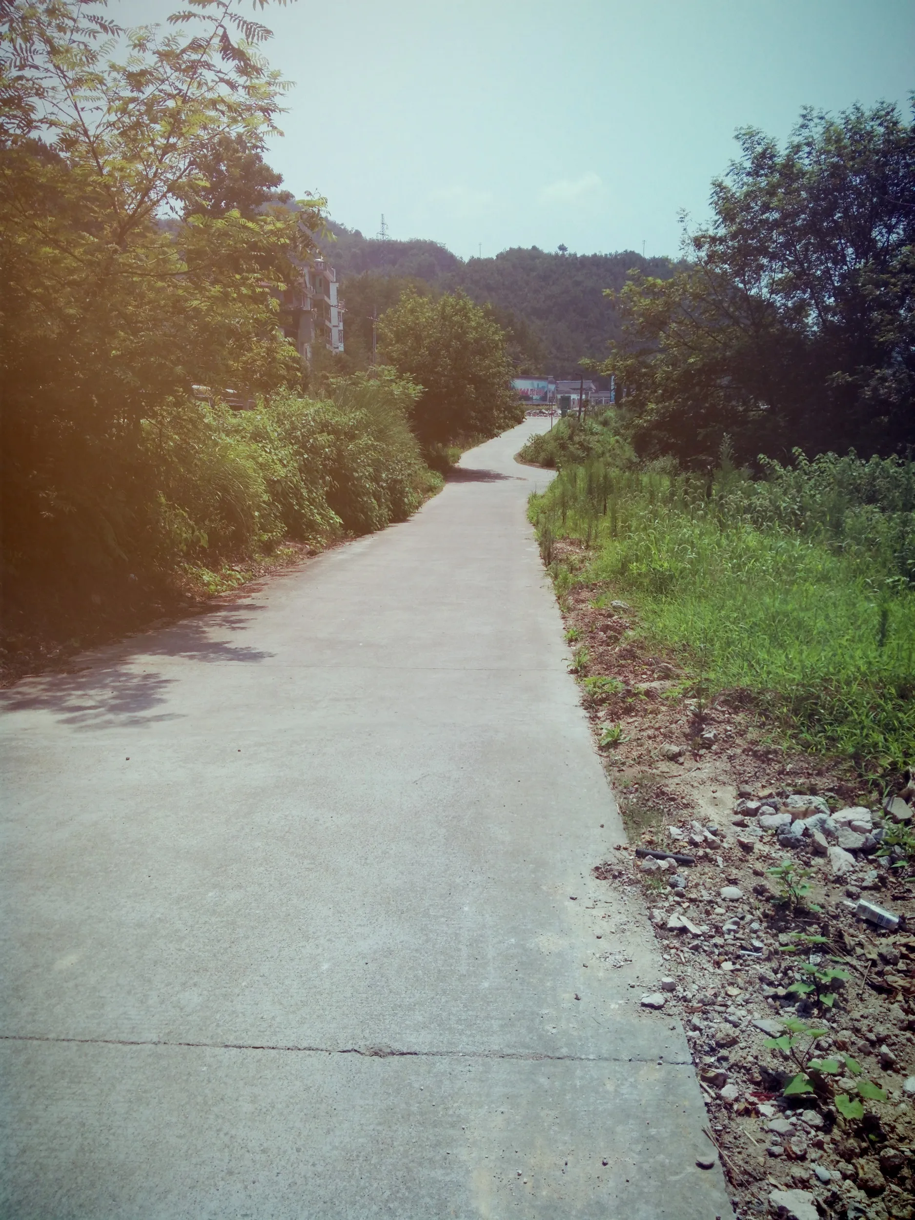 川と橋