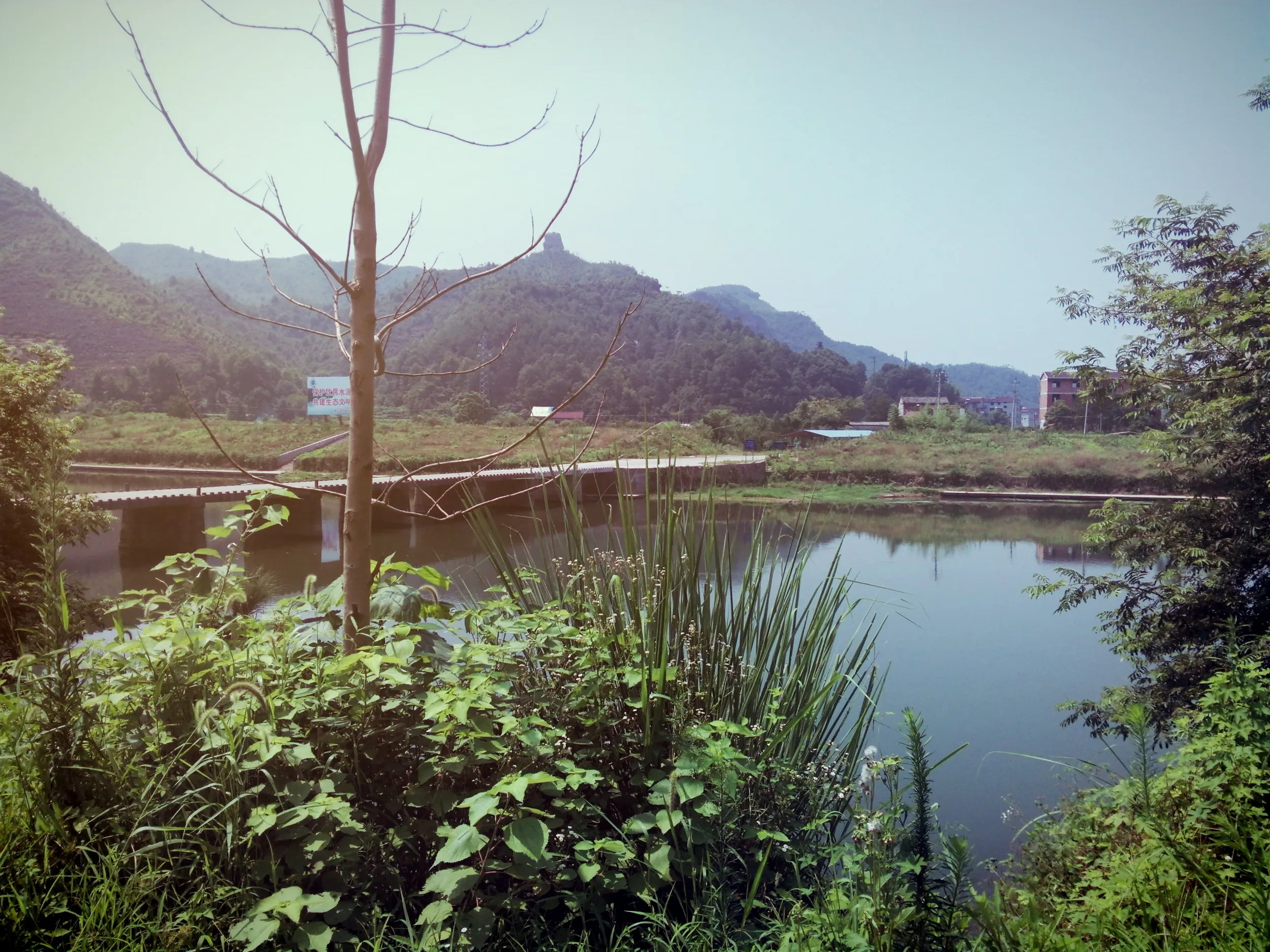 川と橋