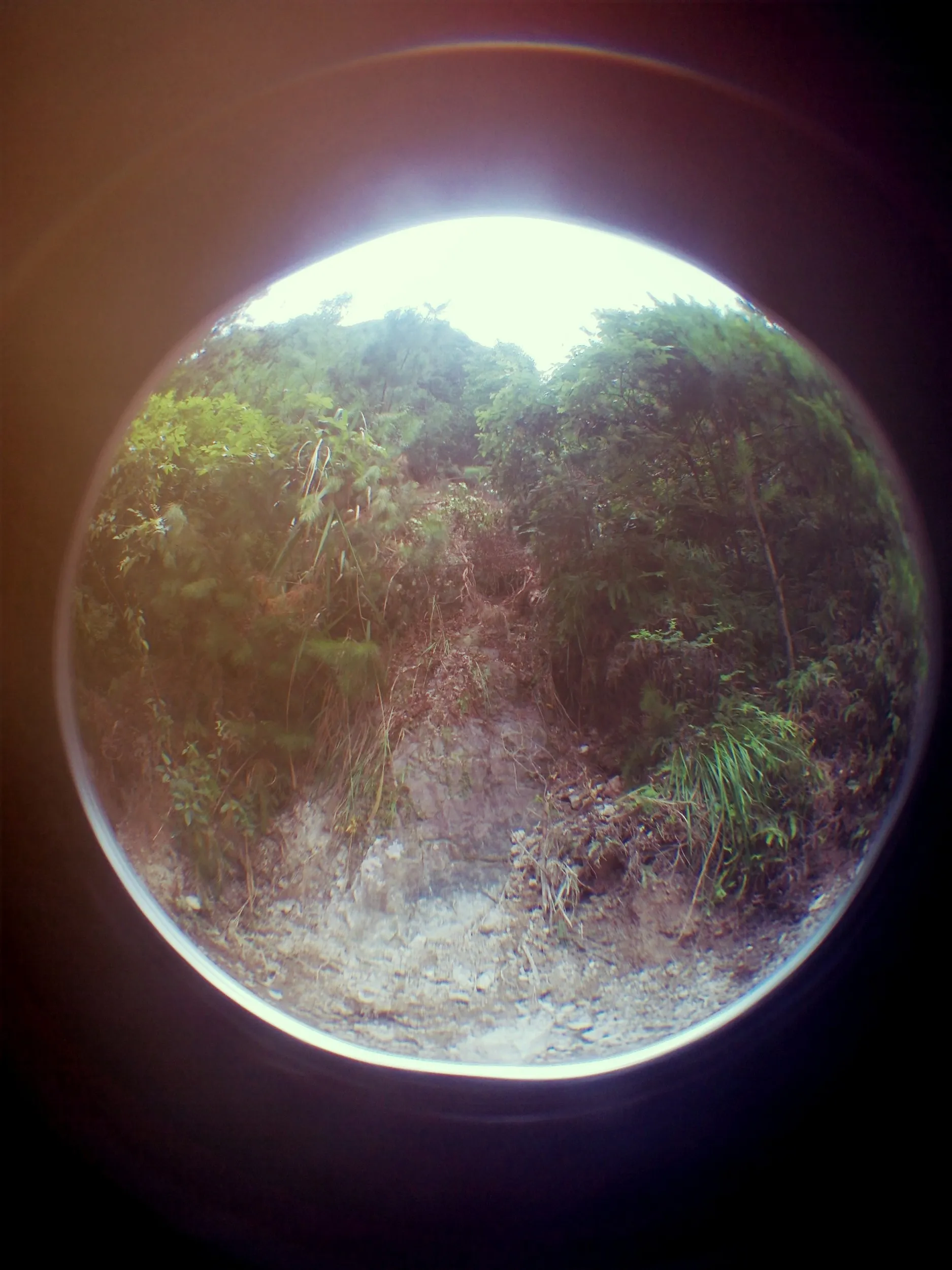 風景
